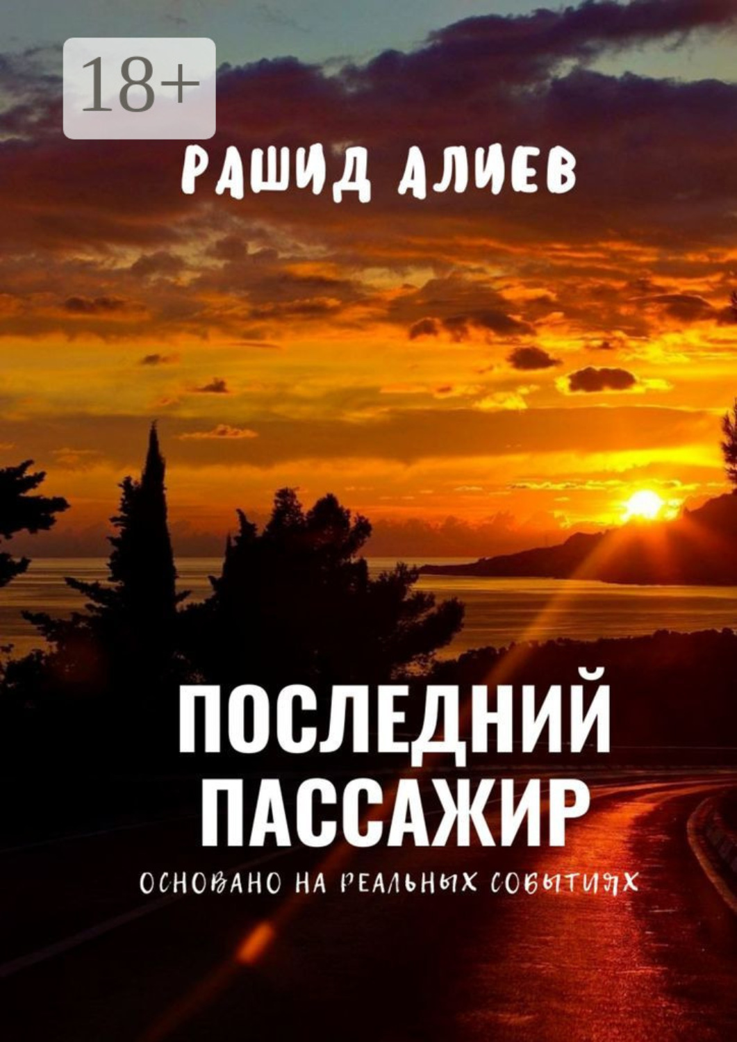 Обложка книги «Последний пассажир»