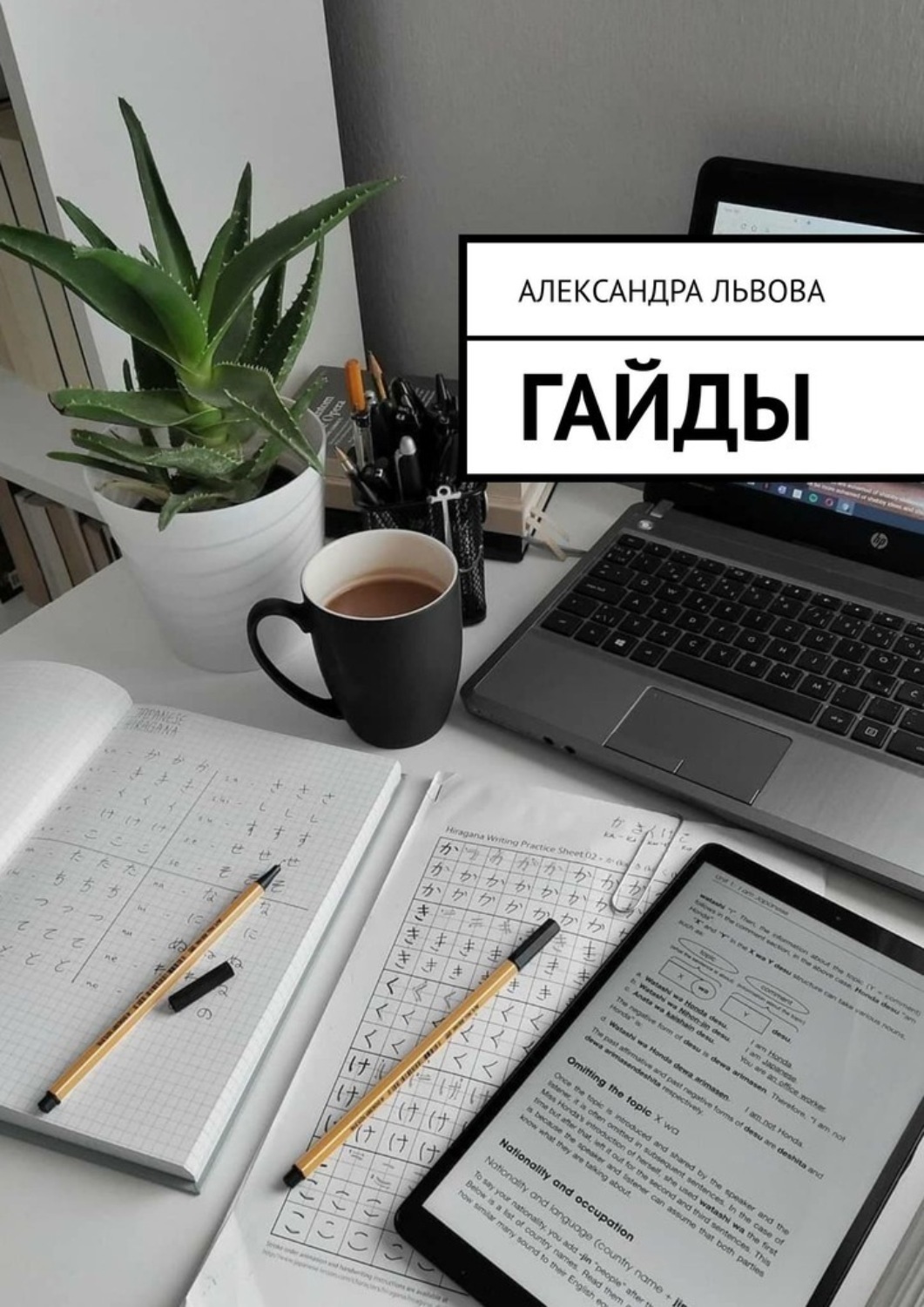 Обложка книги «Гайды»
