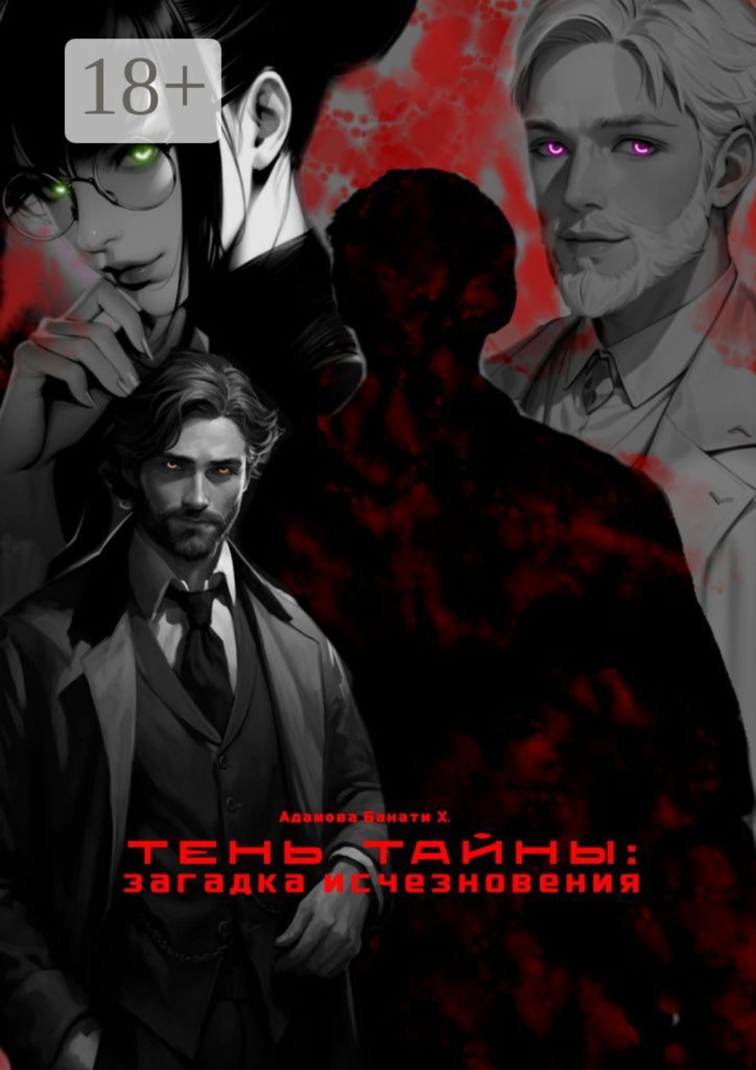 Обложка книги «Тень тайны: загадка исчезновения»