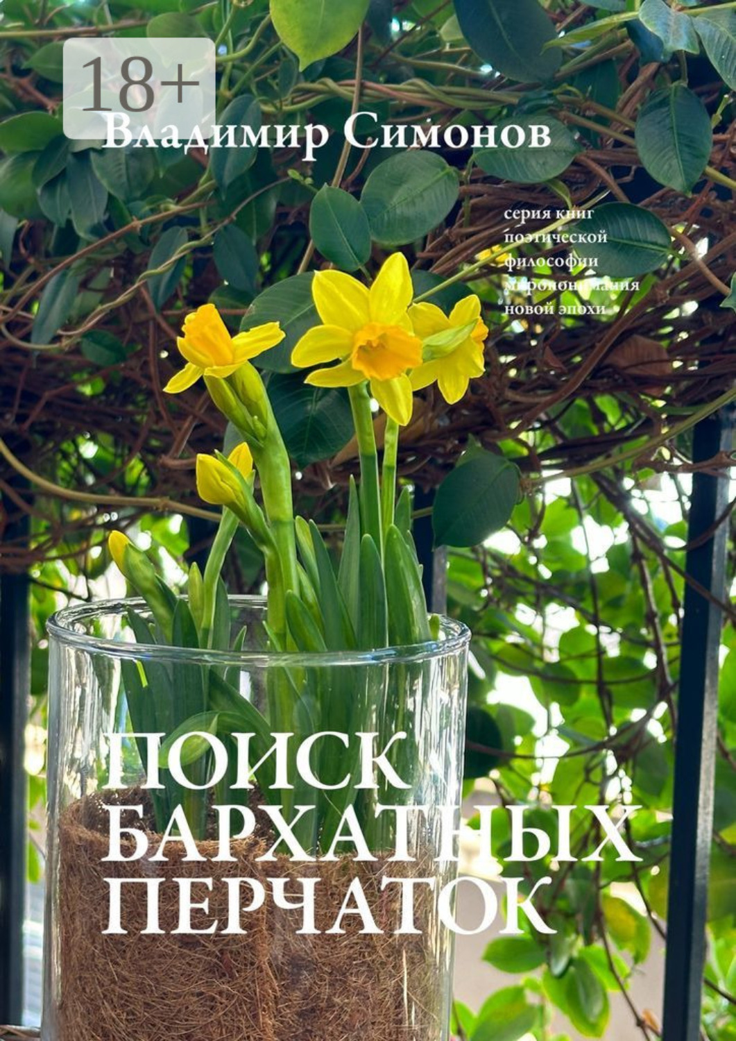 Обложка книги «Поиск бархатных перчаток. Серия книг поэтической философии миропонимания новой эпохи»