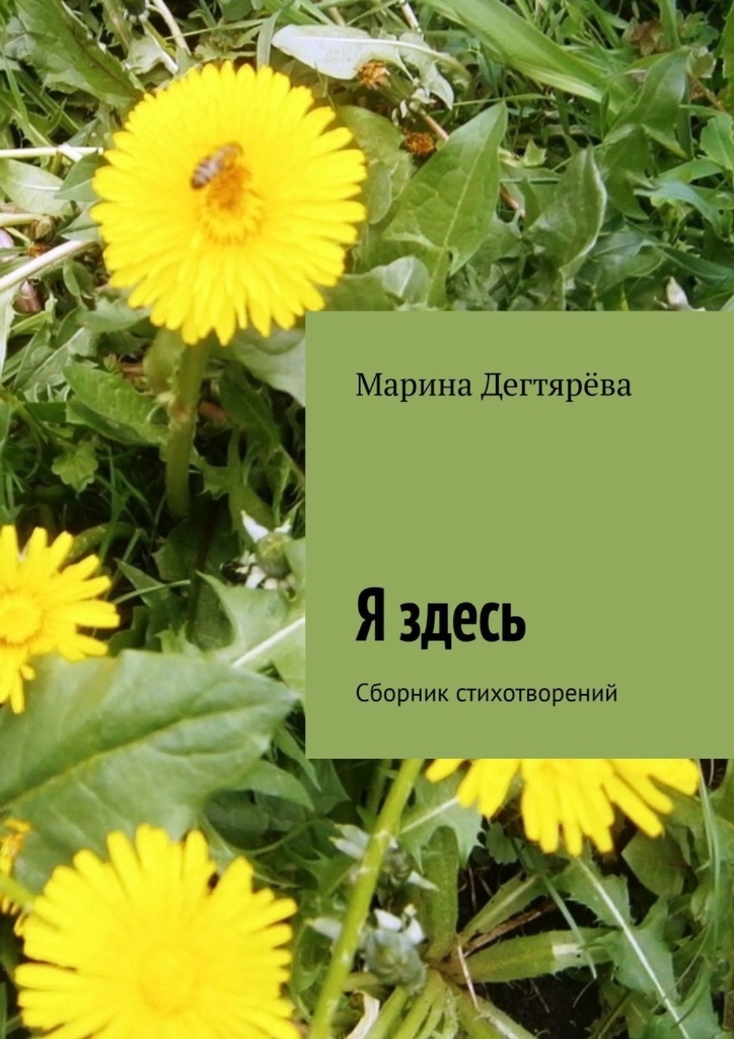 Обложка книги «Я здесь. Сборник стихотворений»