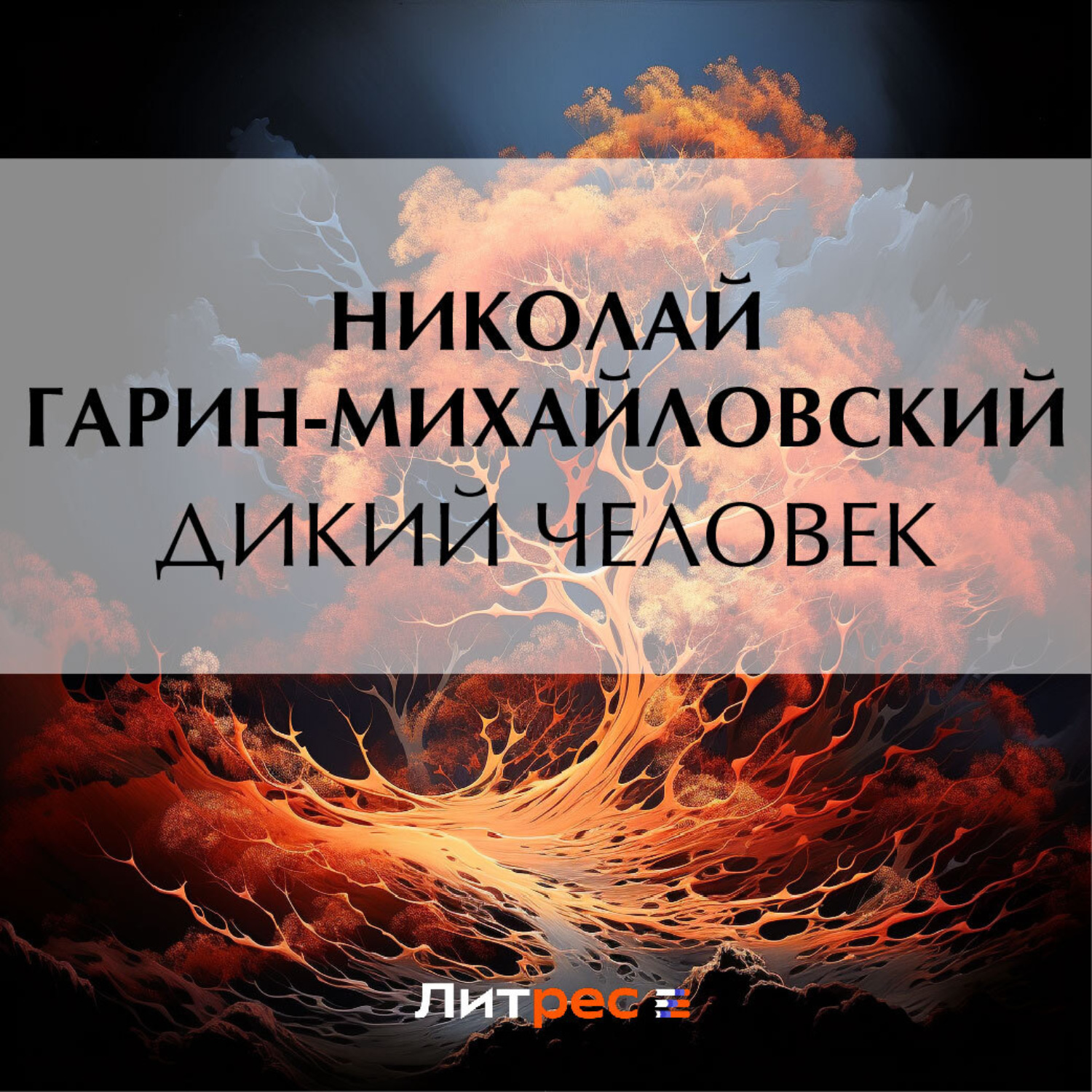 Обложка книги «Дикий человек»