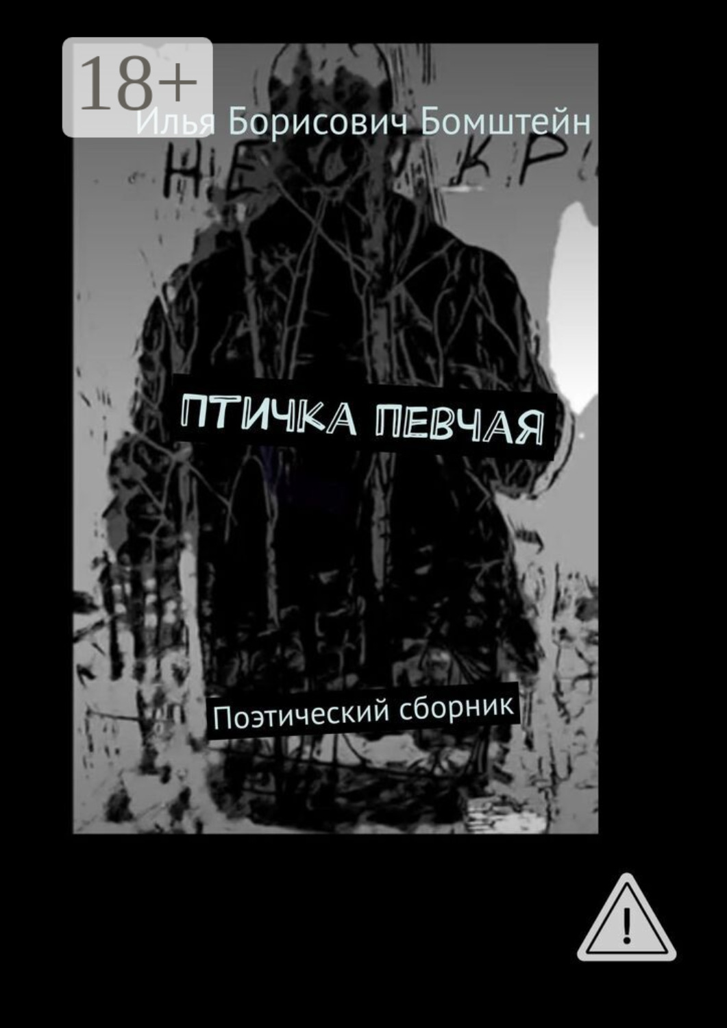 Обложка книги «Птичка певчая. Поэтический сборник»