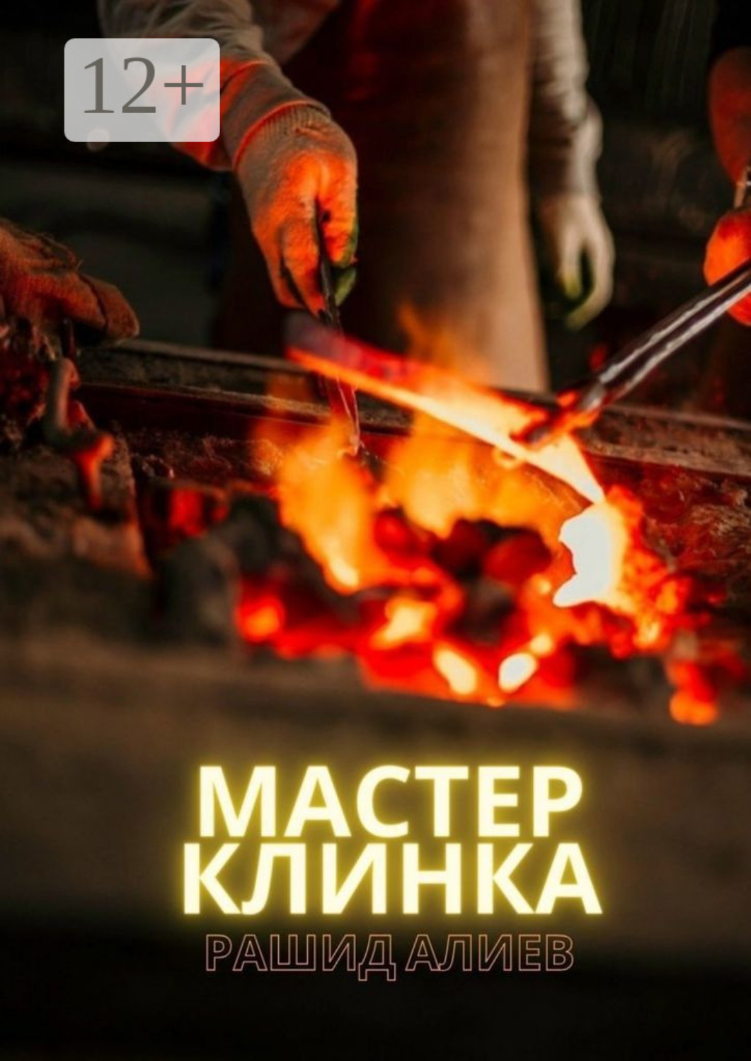 Обложка книги «Мастер клинка»