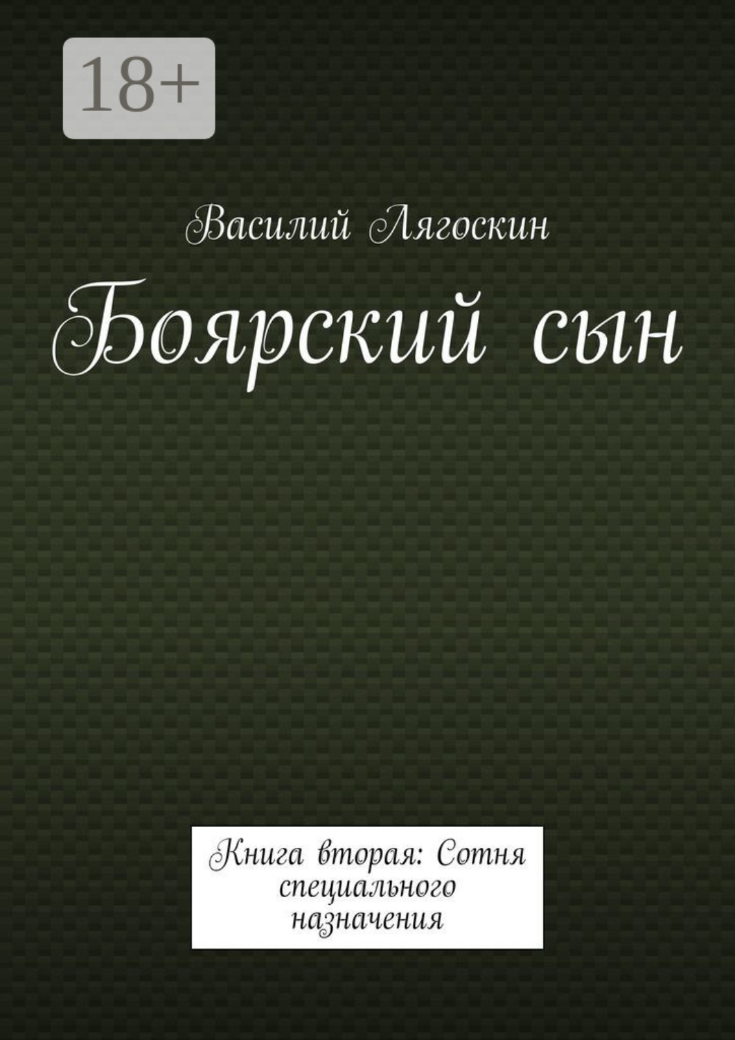 Обложка книги «Боярский сын. Книга вторая: Сотня специального назначения»