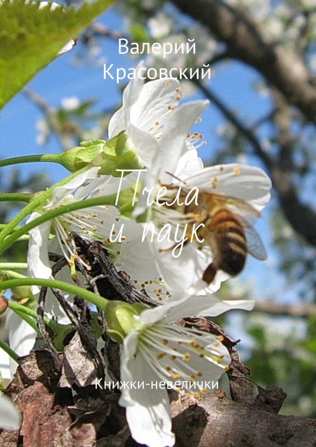 Обложка книги «Пчела и паук. Книжки-невелички»