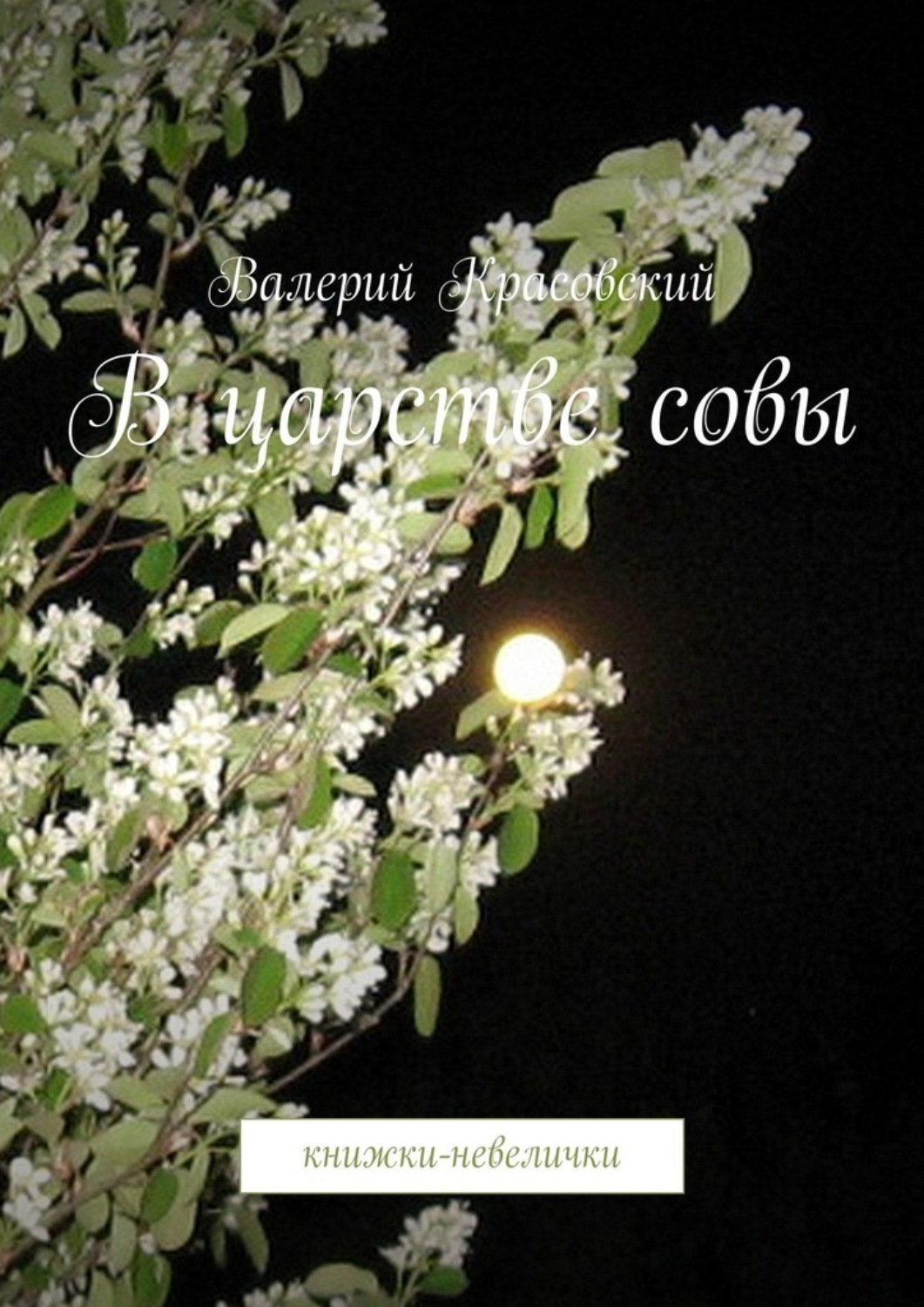 Обложка книги «В царстве совы. Книжки-невелички»