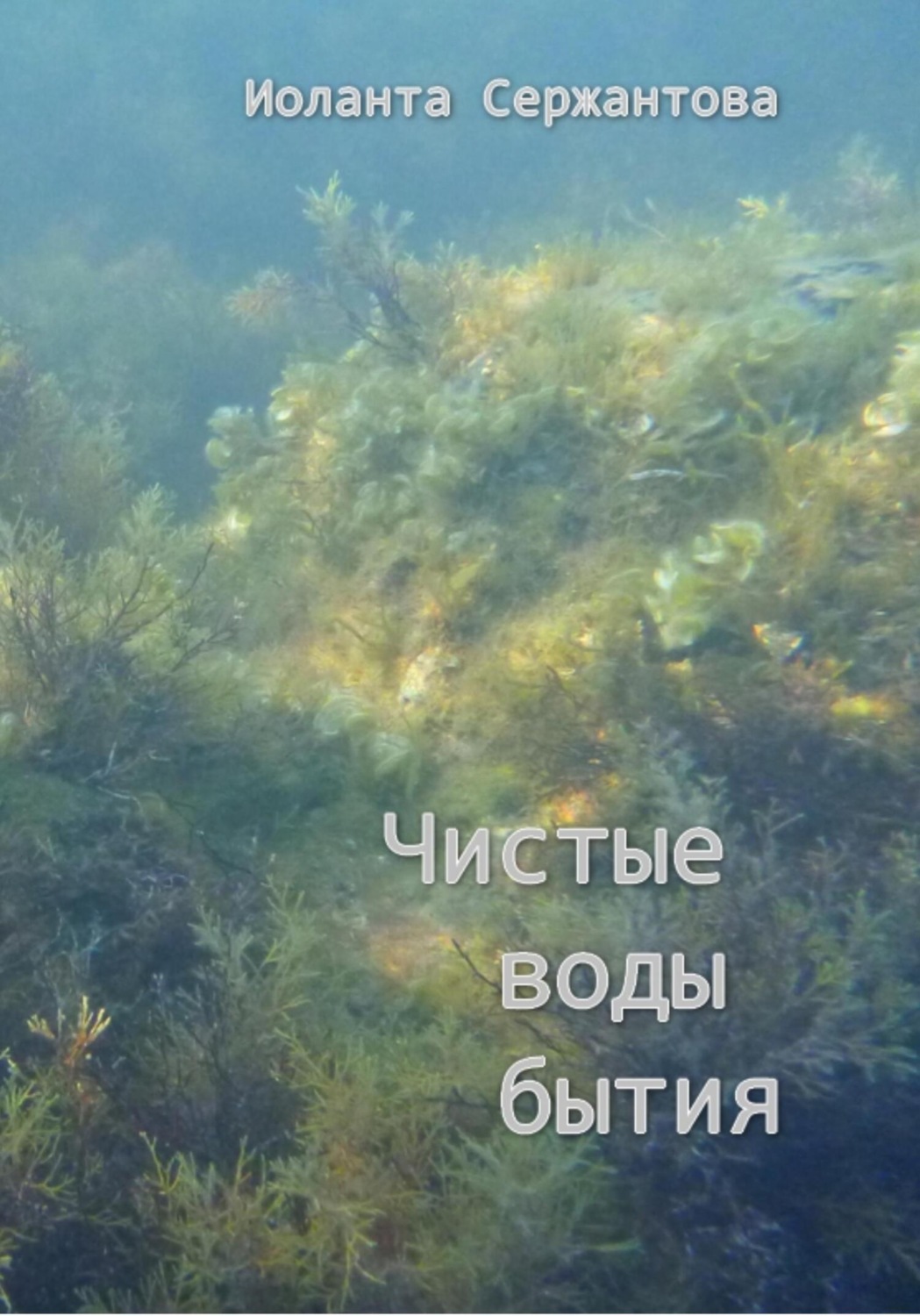 Обложка книги «Чистые воды бытия»