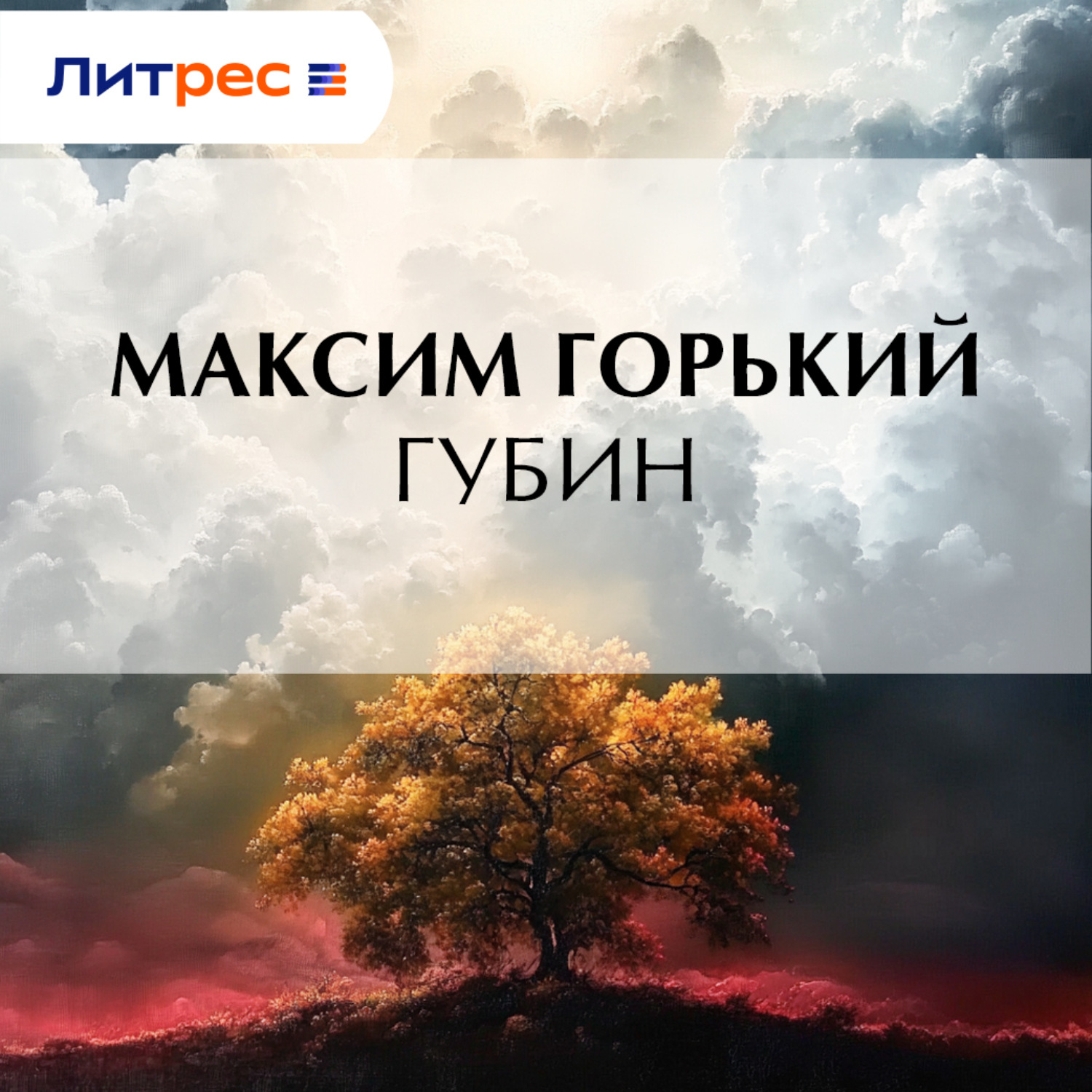 Обложка книги «Губин»