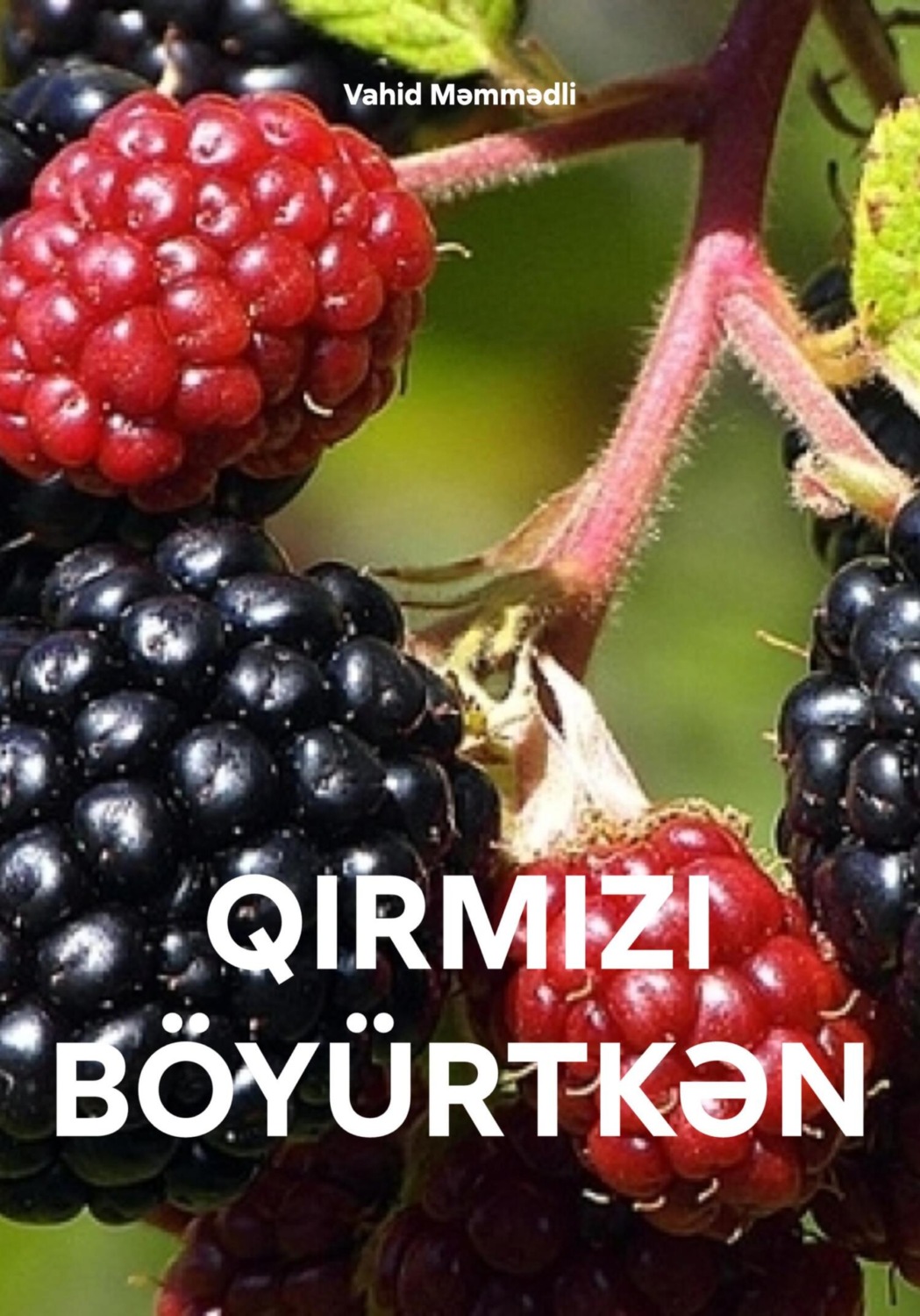Обложка книги «QIRMIZI BÖYÜRTKƏN»