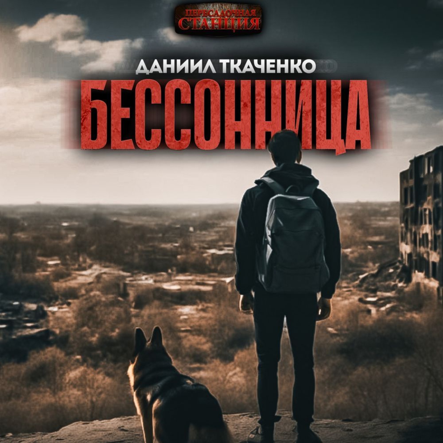 Обложка книги «Бессонница»