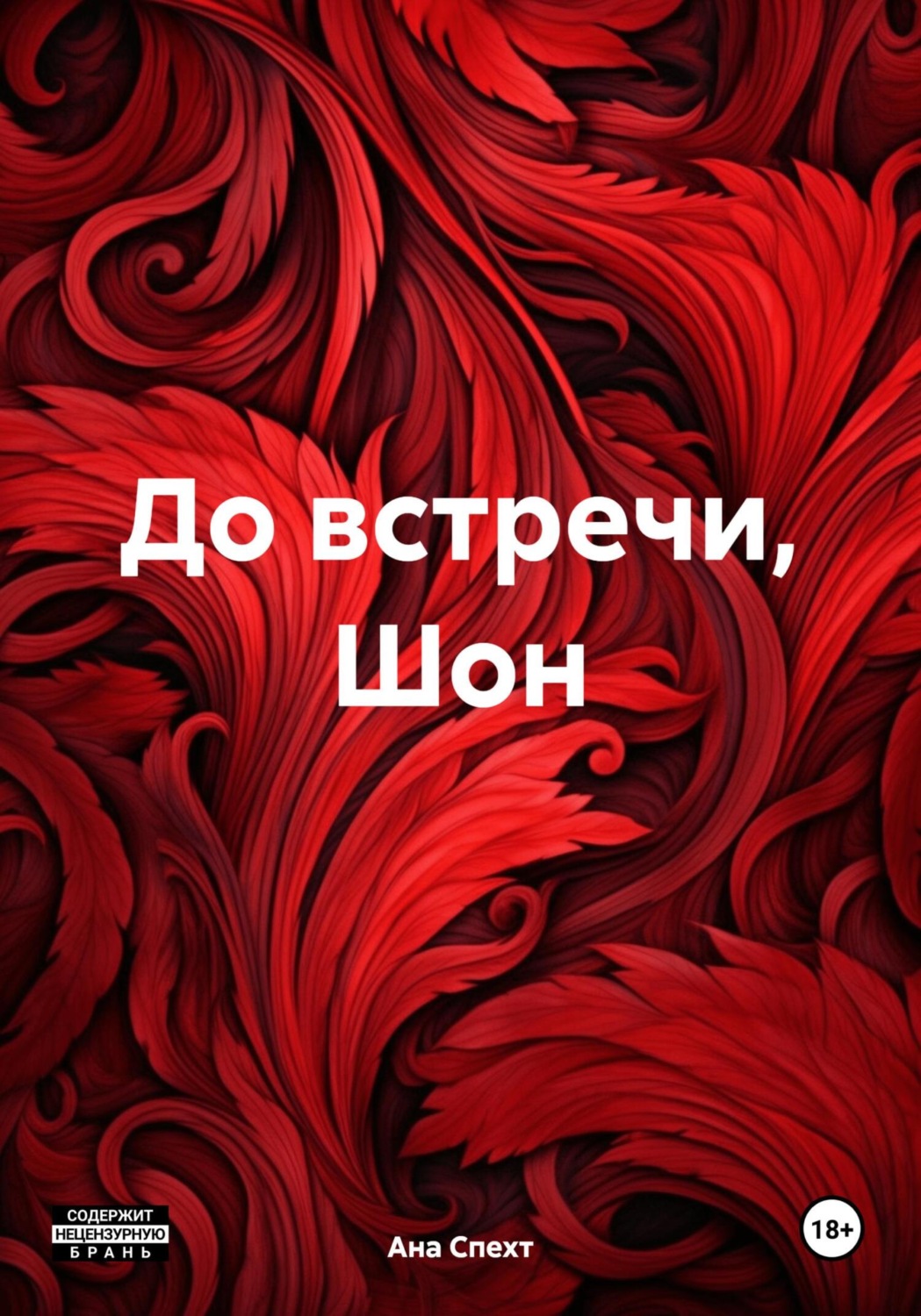 Обложка книги «До встречи, Шон»