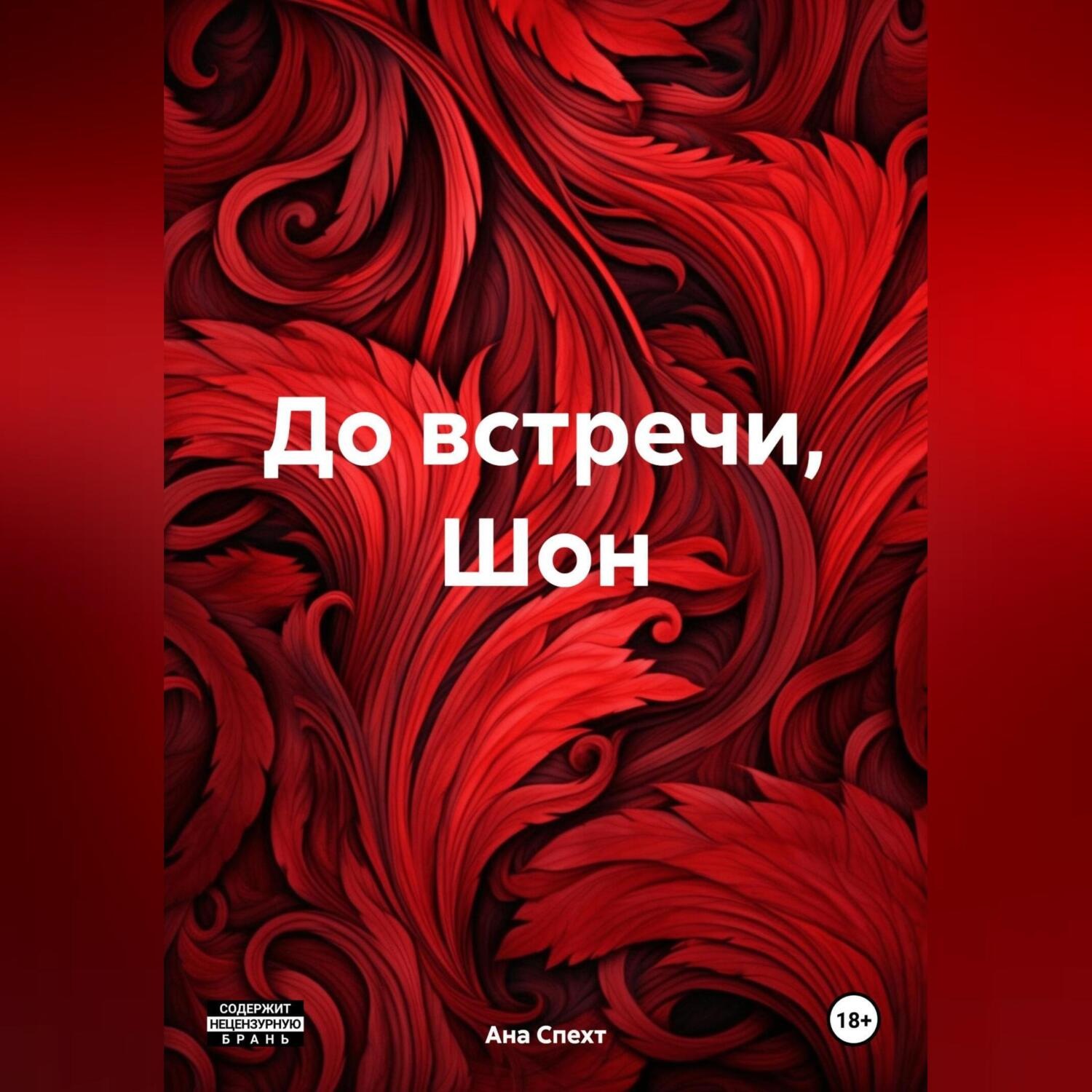 Обложка книги «До встречи, Шон»