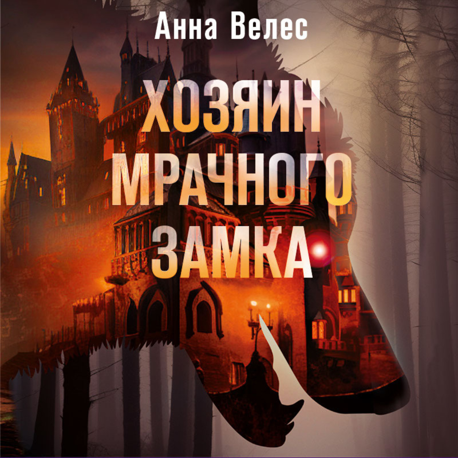 Обложка книги «Хозяин мрачного замка»