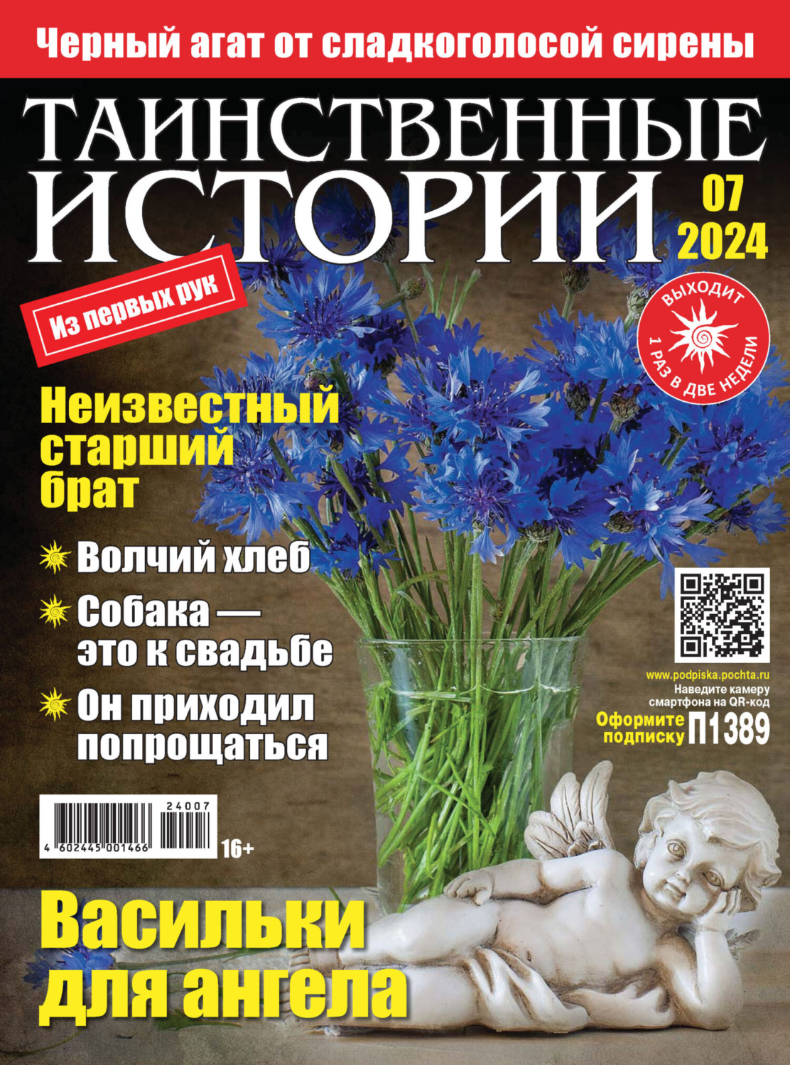 Обложка книги «Таинственные истории №07/2024»