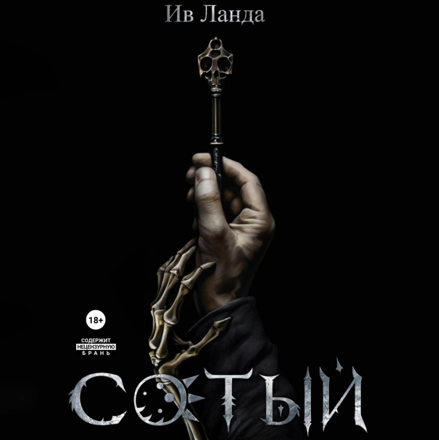 Обложка книги «Сотый»