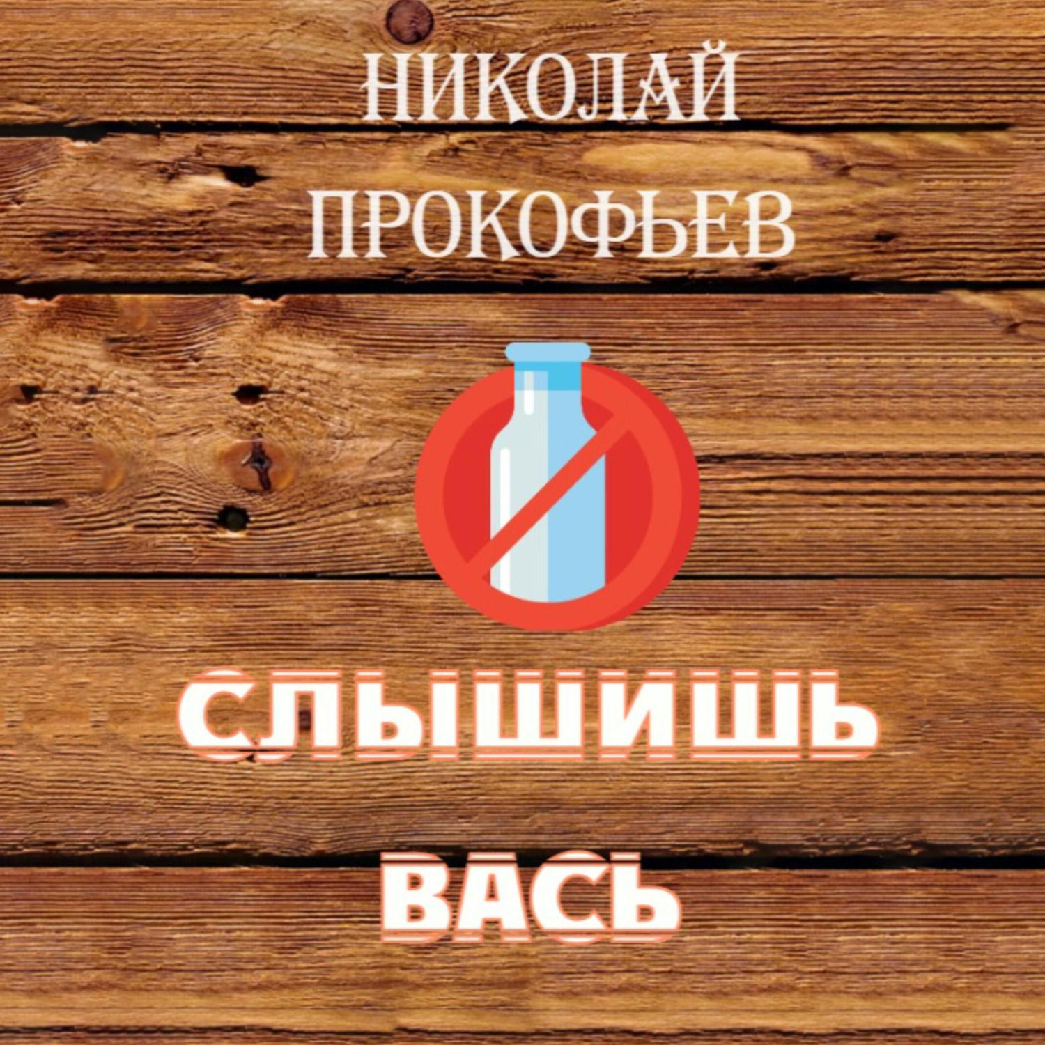 Обложка книги «Слышишь Вась»