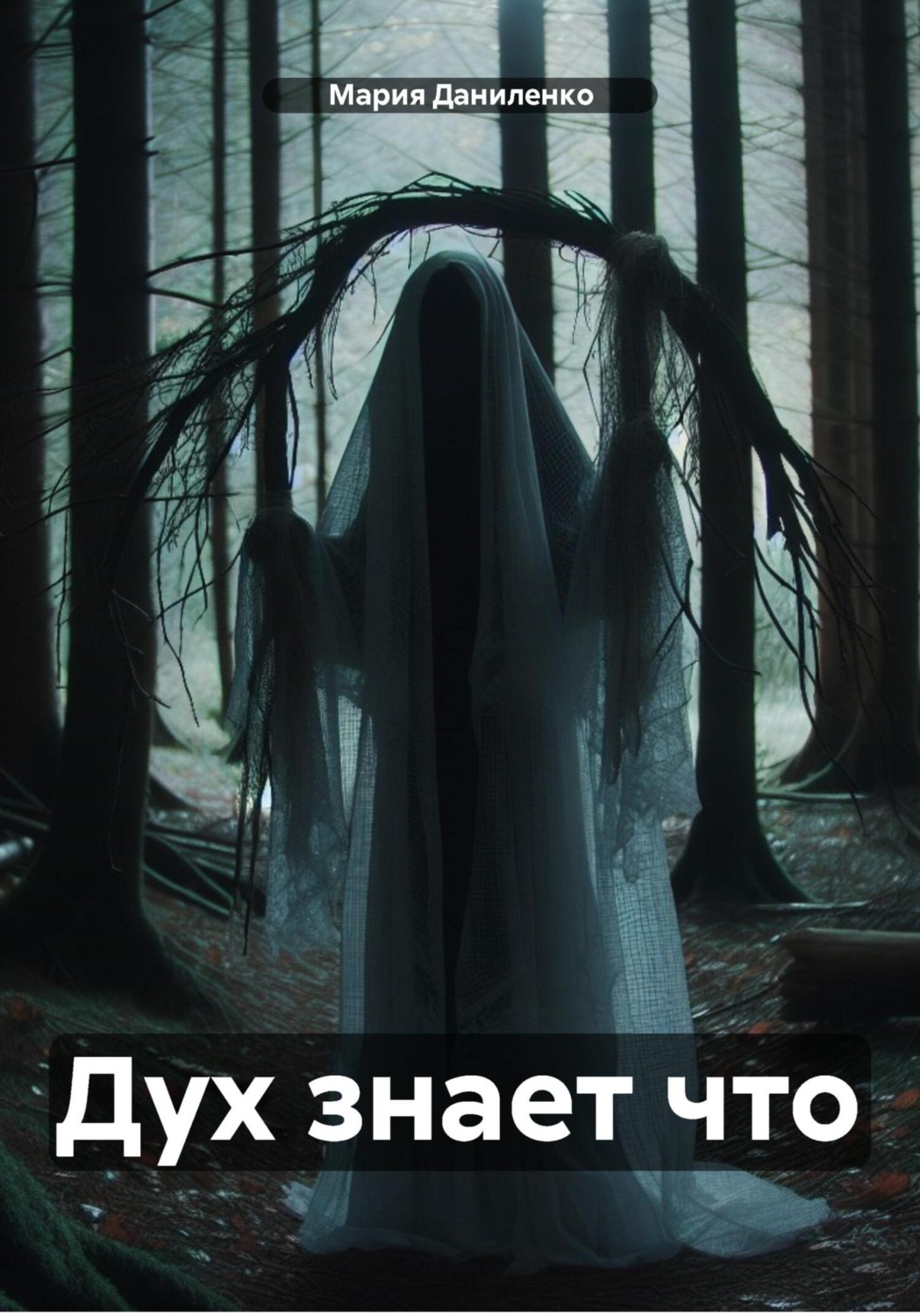 Обложка книги «Дух знает что»
