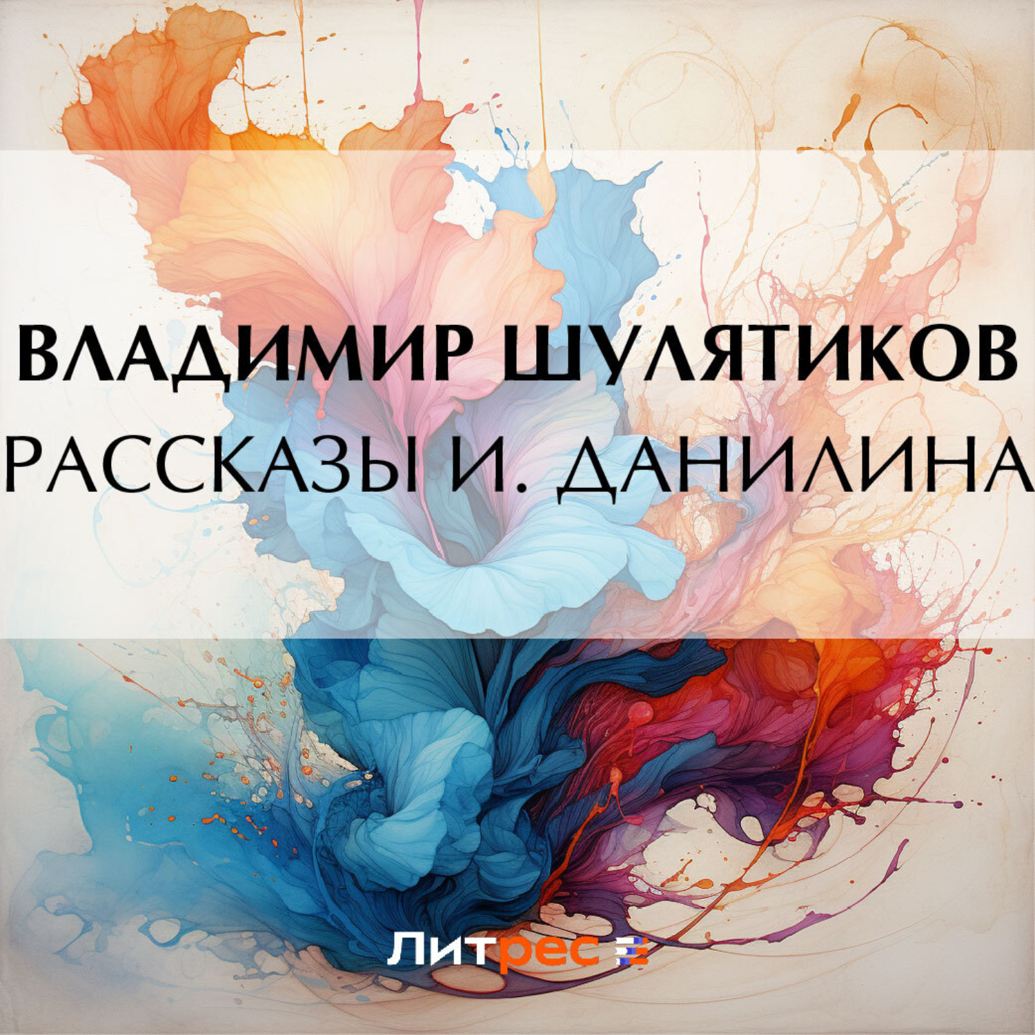 Обложка книги «Рассказы И. Данилина»