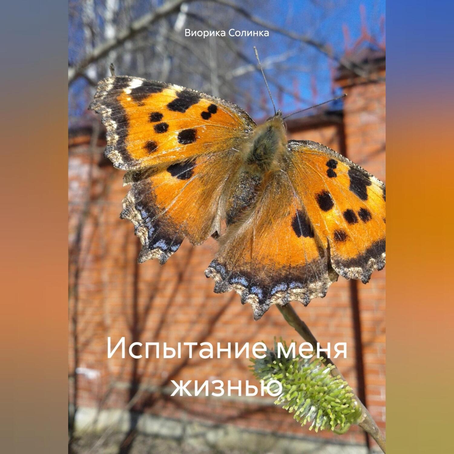 Обложка книги «Испытание меня жизнью»