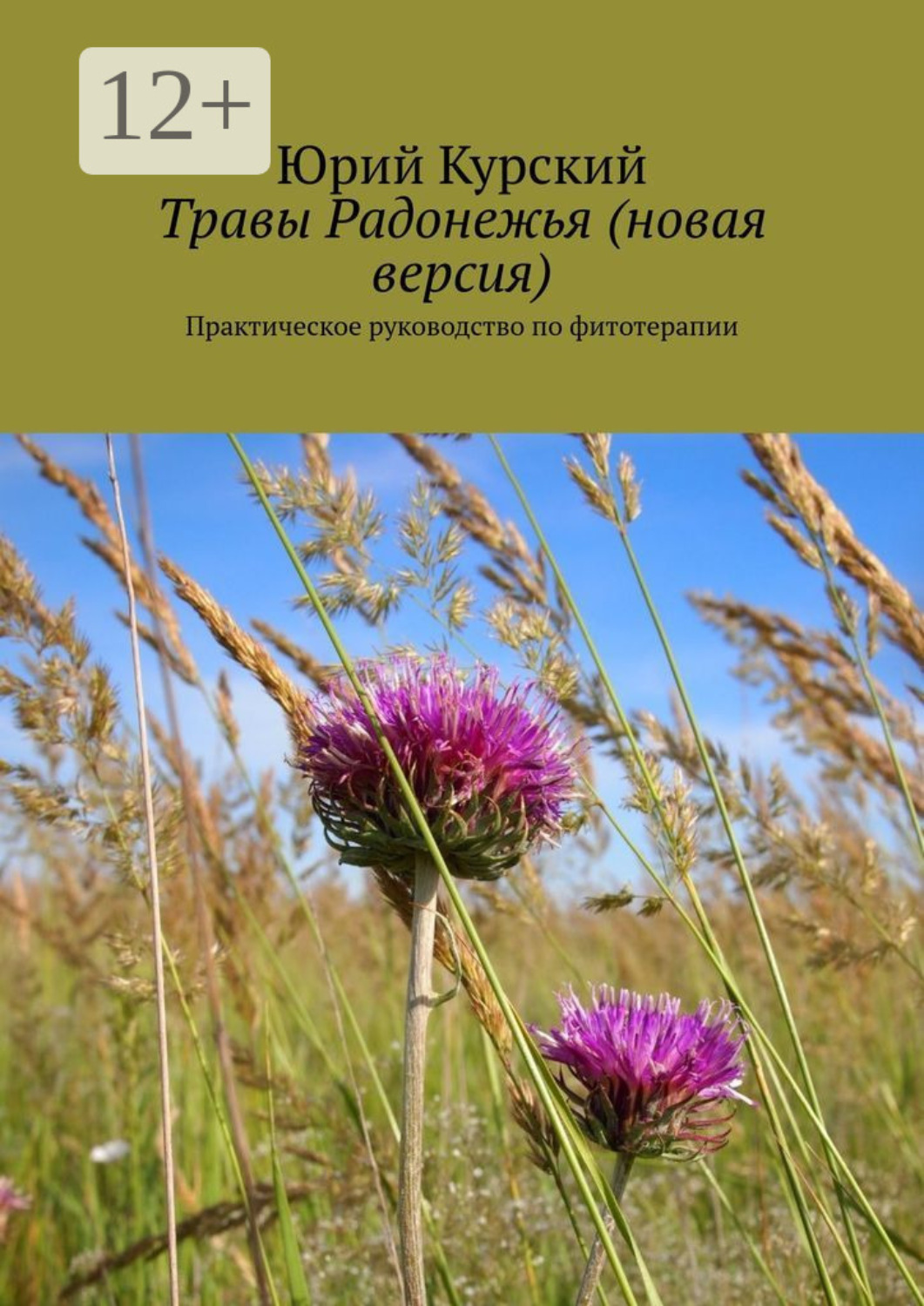 Обложка книги «Травы Радонежья (новая версия). Практическое руководство по фитотерапии»