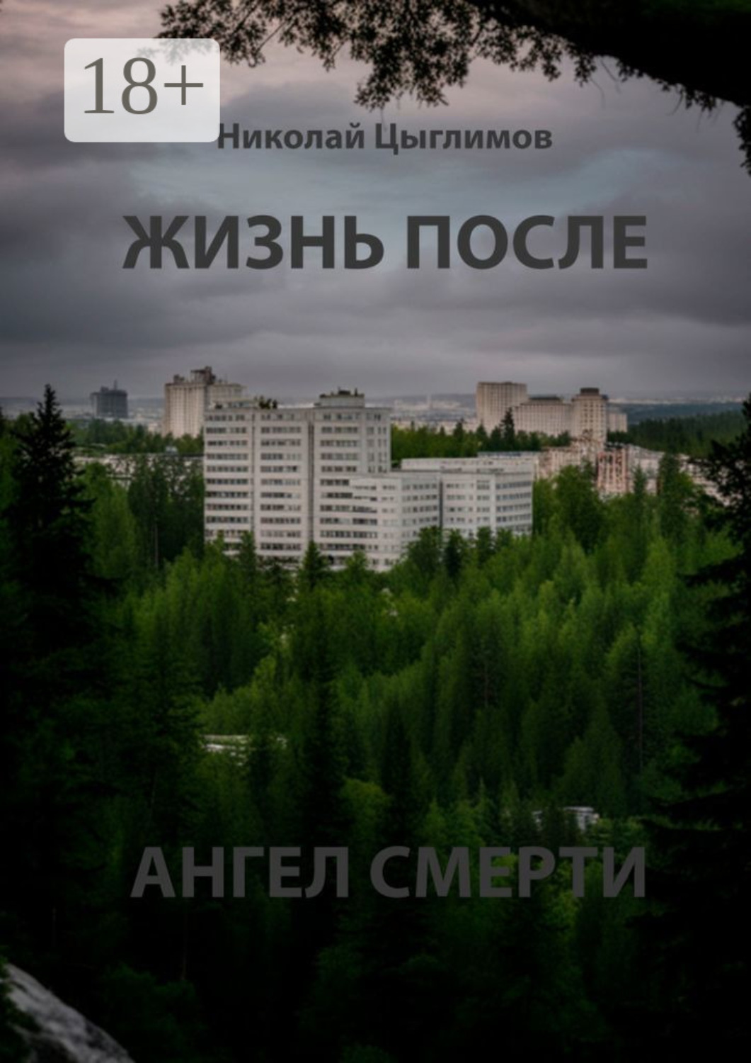 Обложка книги «Жизнь после. Ангел смерти»