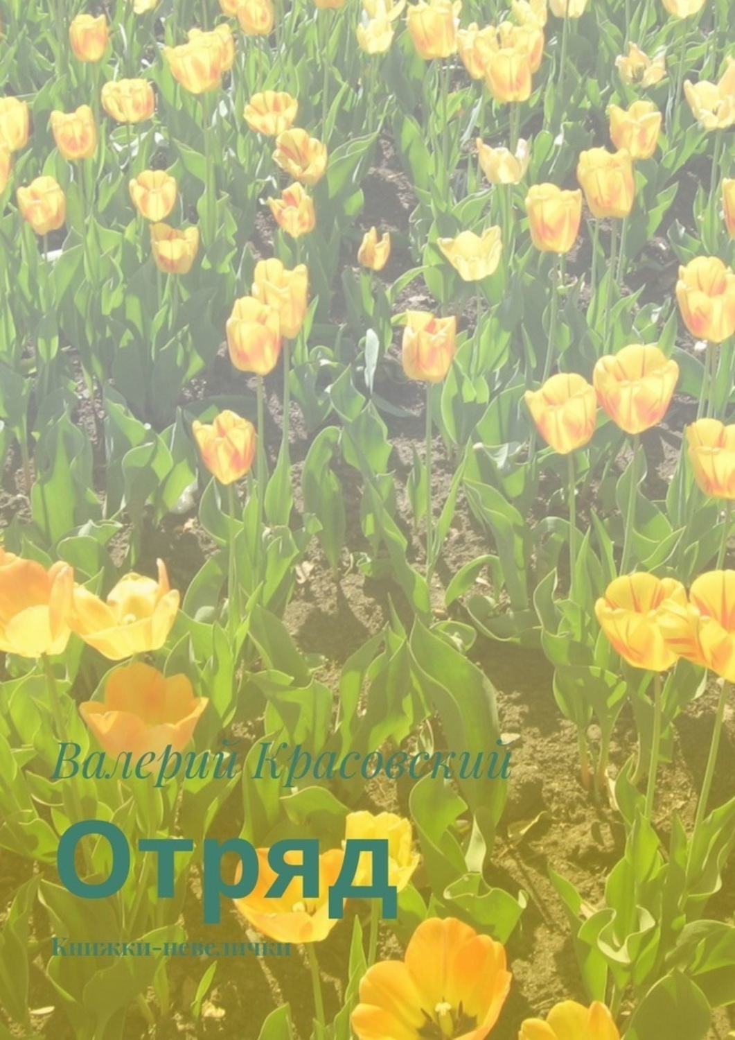 Обложка книги «Отряд. Книжки-невелички»
