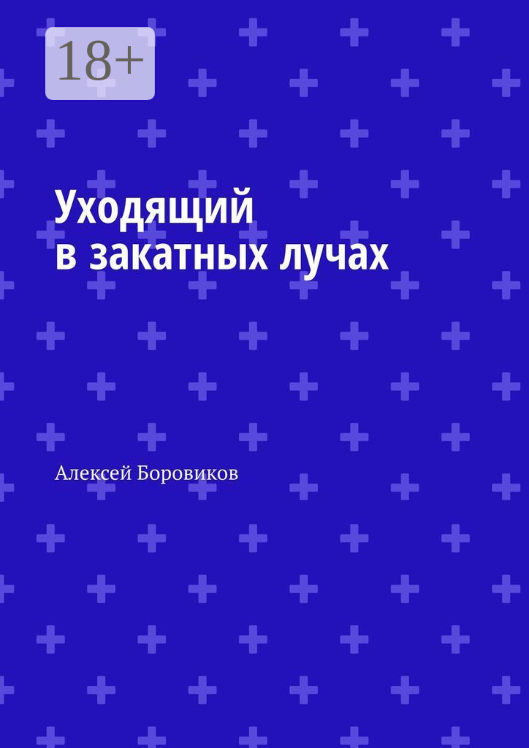 Обложка книги «Уходящий в закатных лучах»
