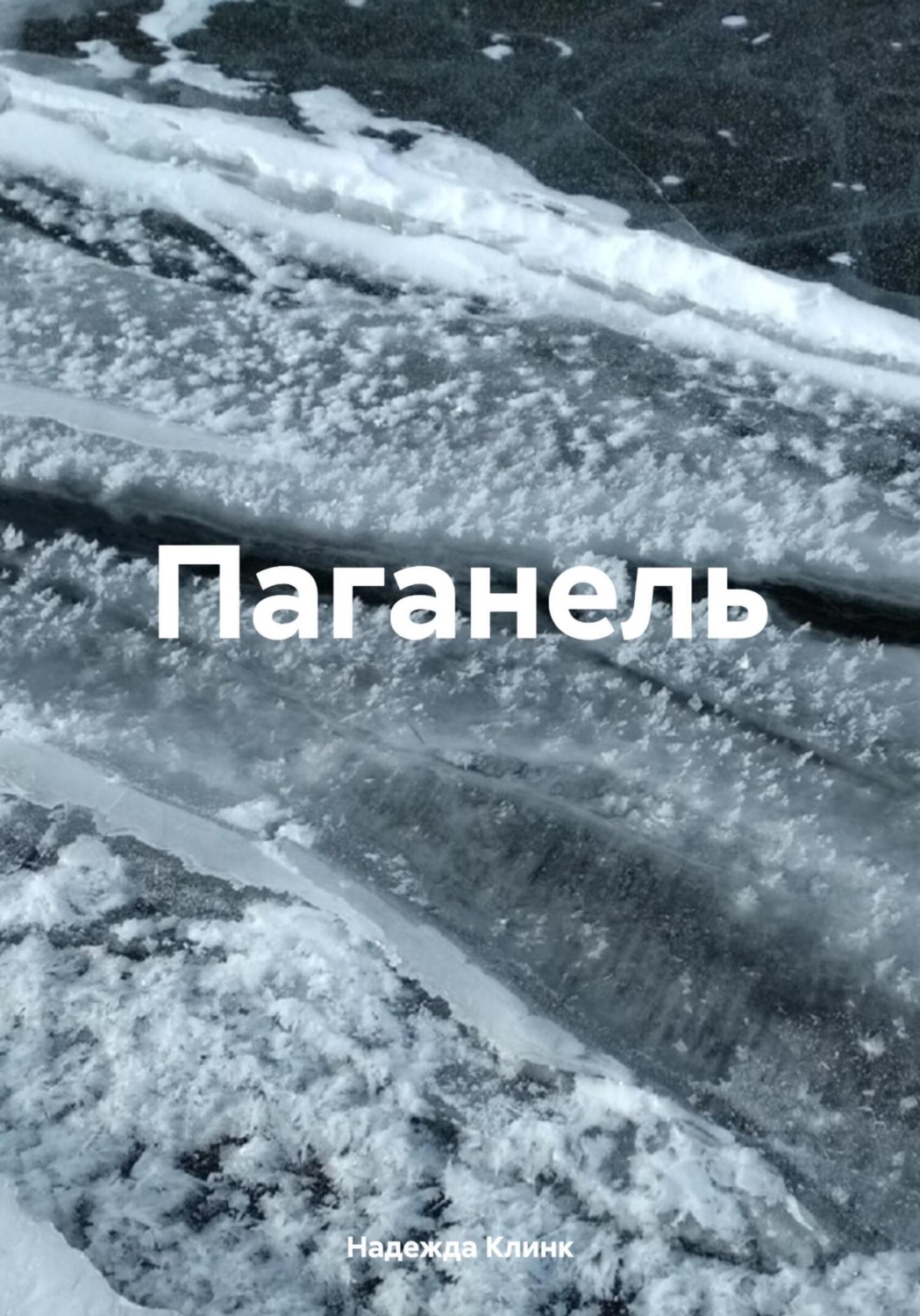 Обложка книги «Паганель»