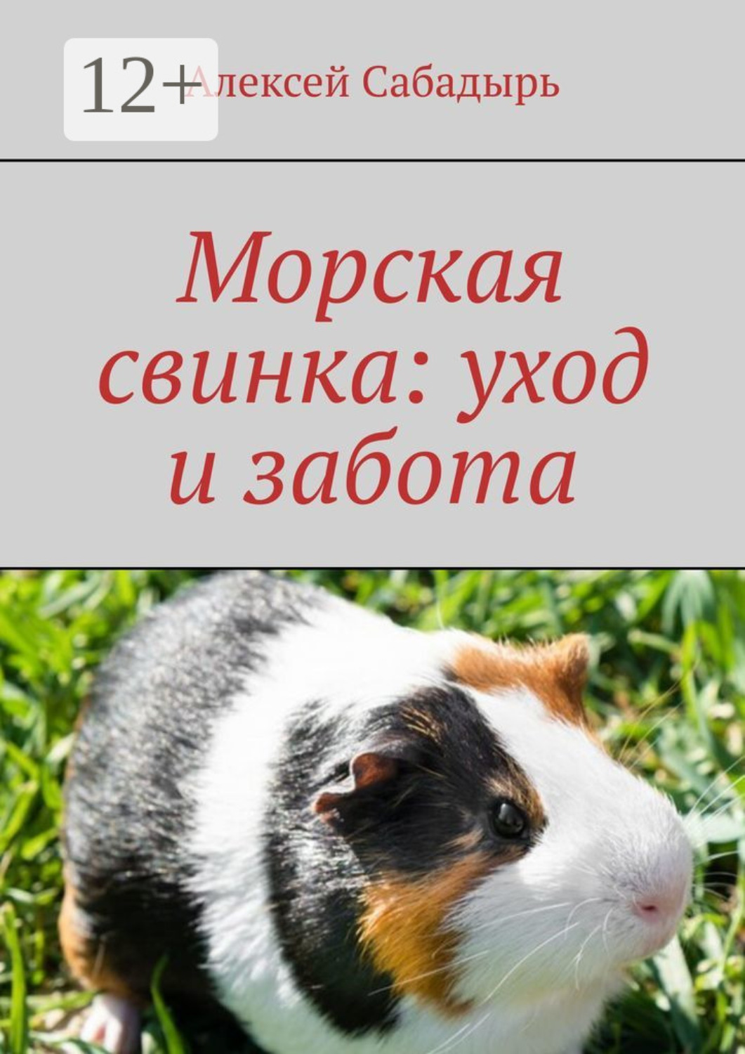 Обложка книги «Морская свинка: уход и забота»