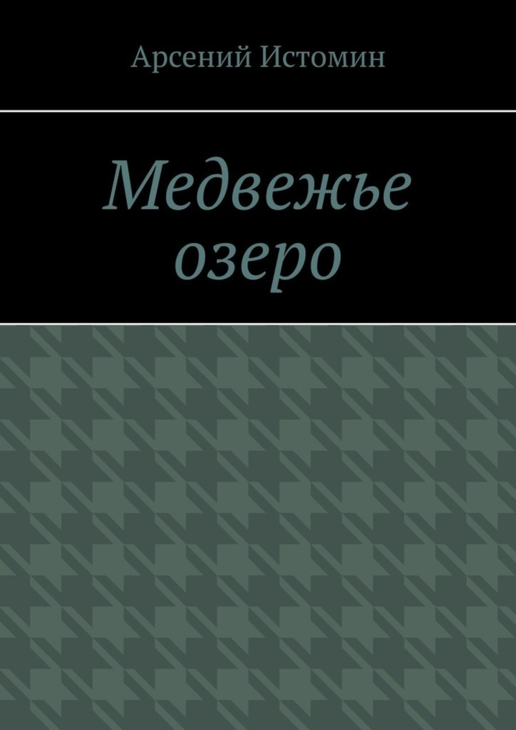 Обложка книги «Медвежье озеро. Никто не вернётся домой»