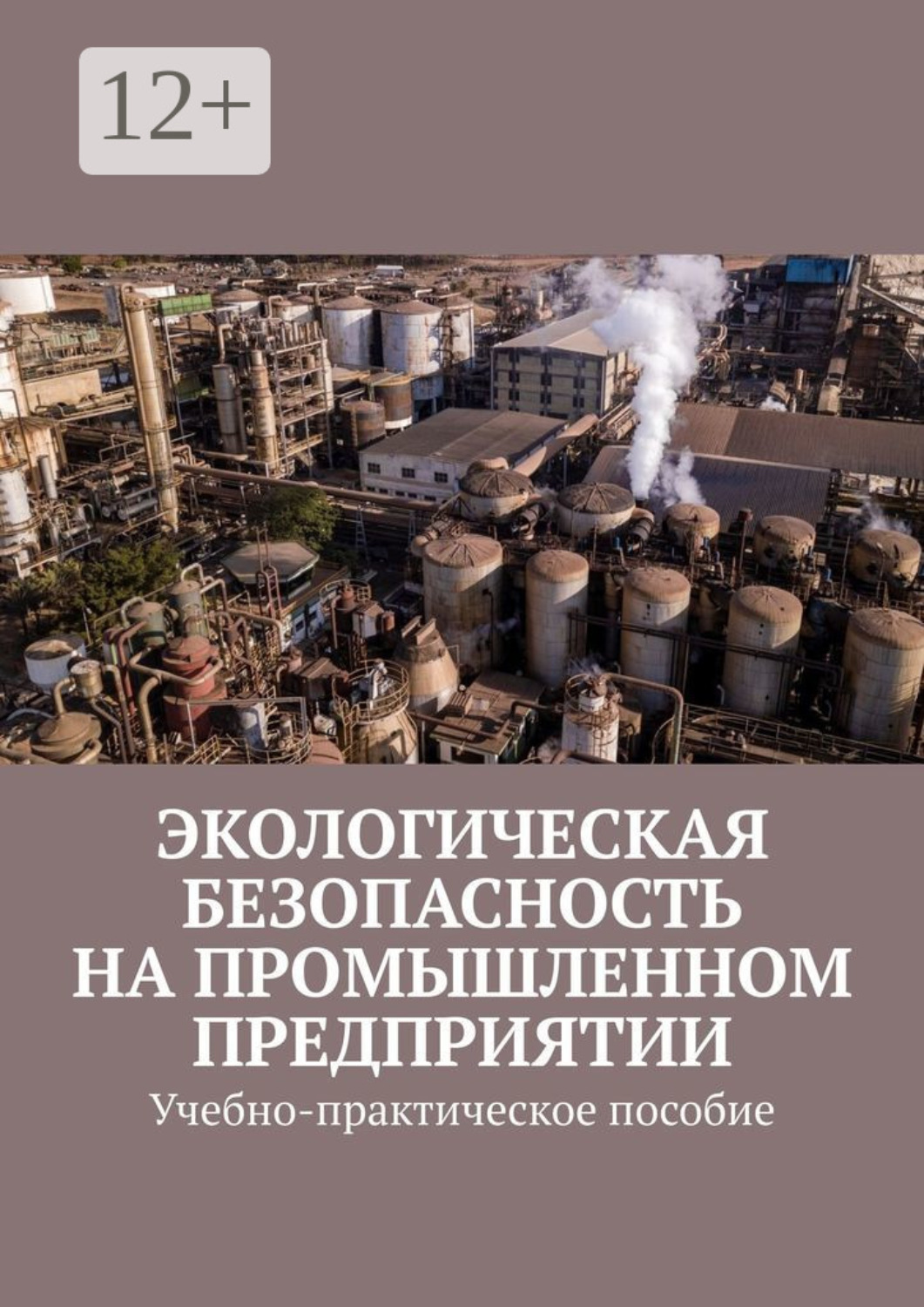 Обложка книги «Экологическая безопасность на промышленном предприятии. Учебно-практическое пособие»