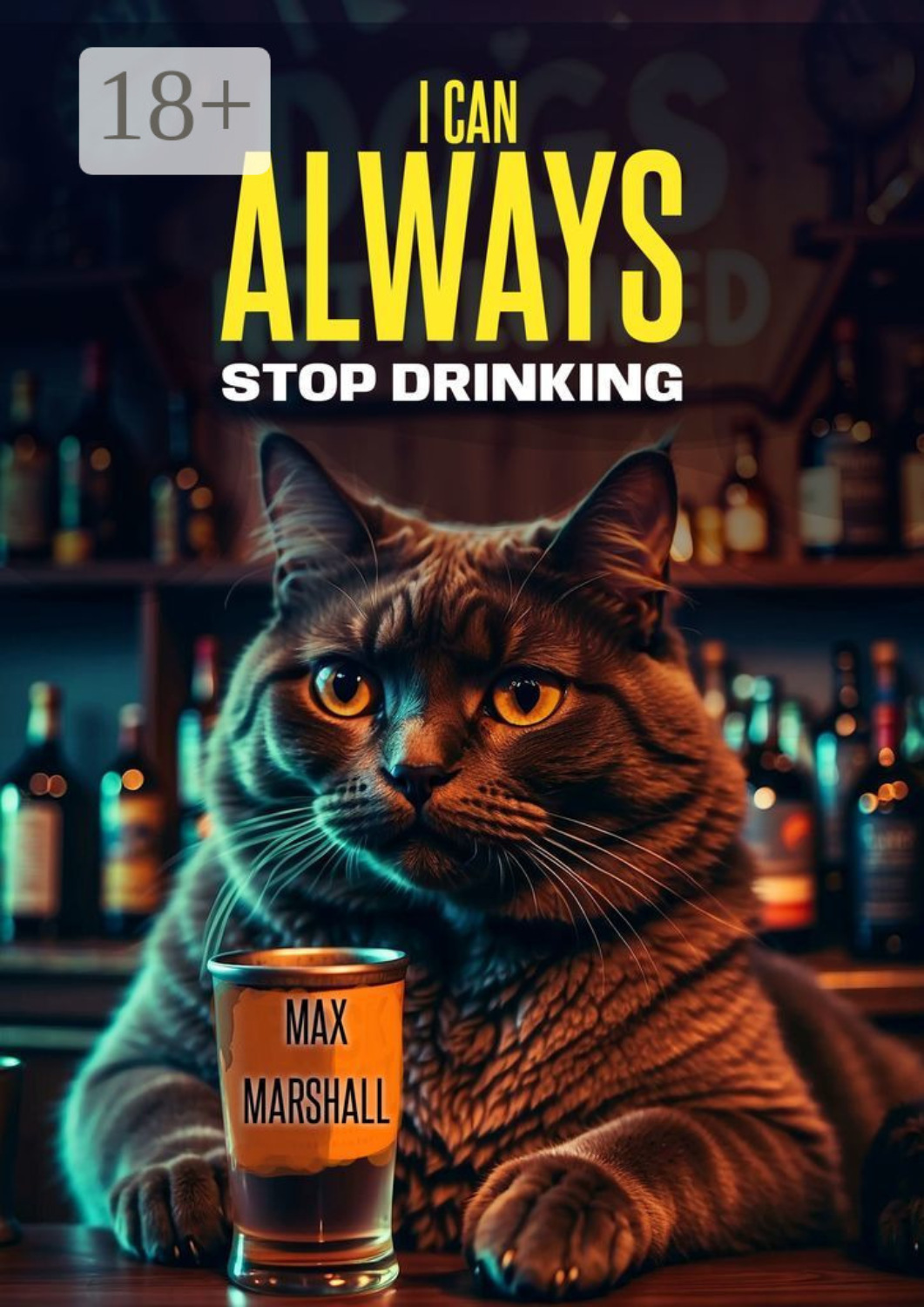 Обложка книги «I Сan Always Stop Drinking»