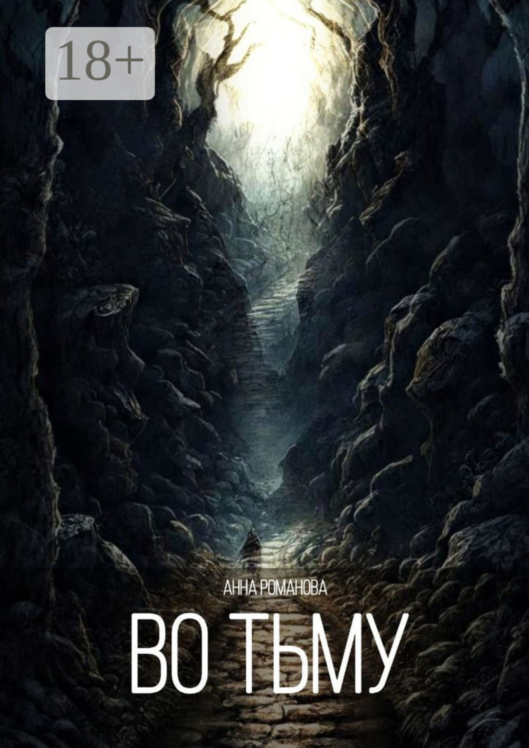 Обложка книги «Во тьму»