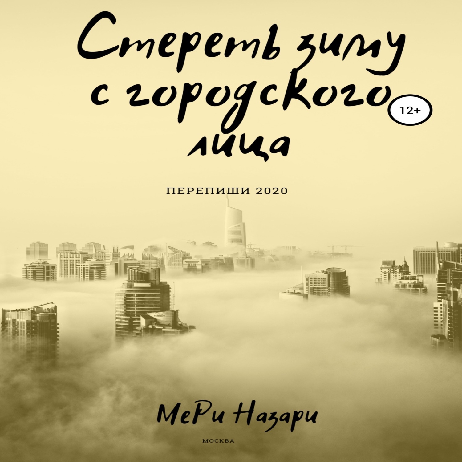 Обложка книги «Стереть зиму с городского лица»