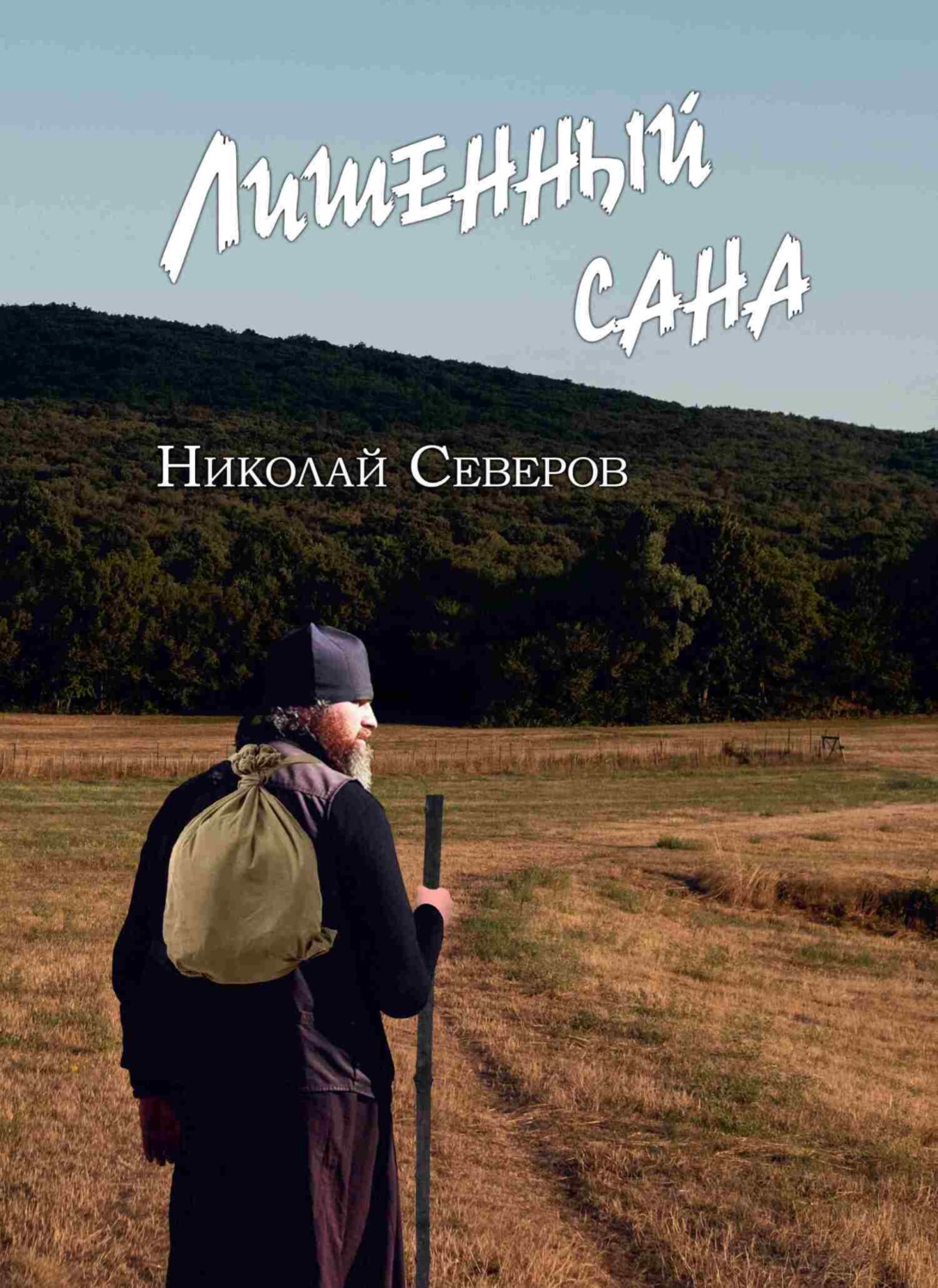 Обложка книги «Лишенный сана»