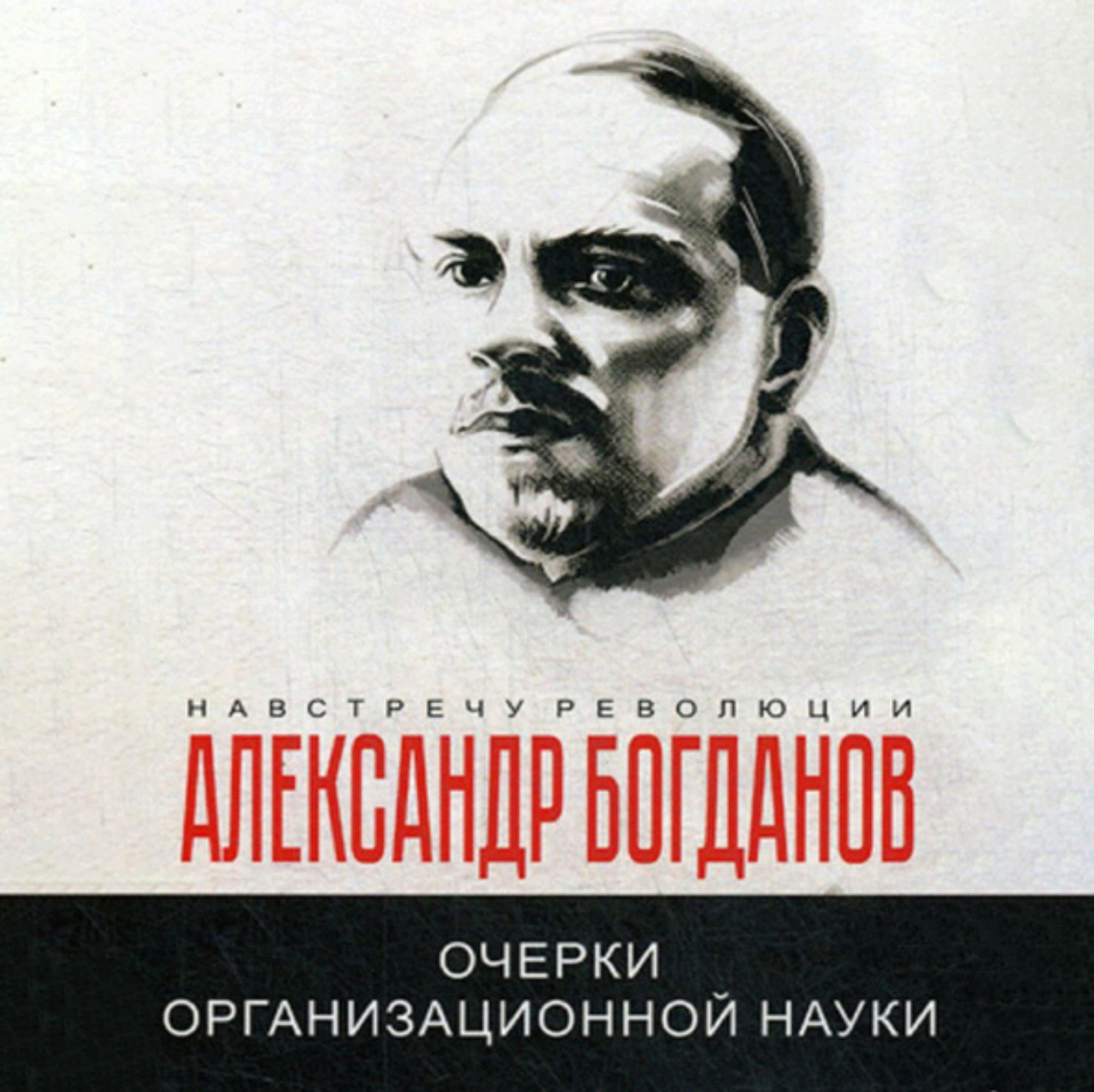 Обложка книги «Очерки организационной науки»