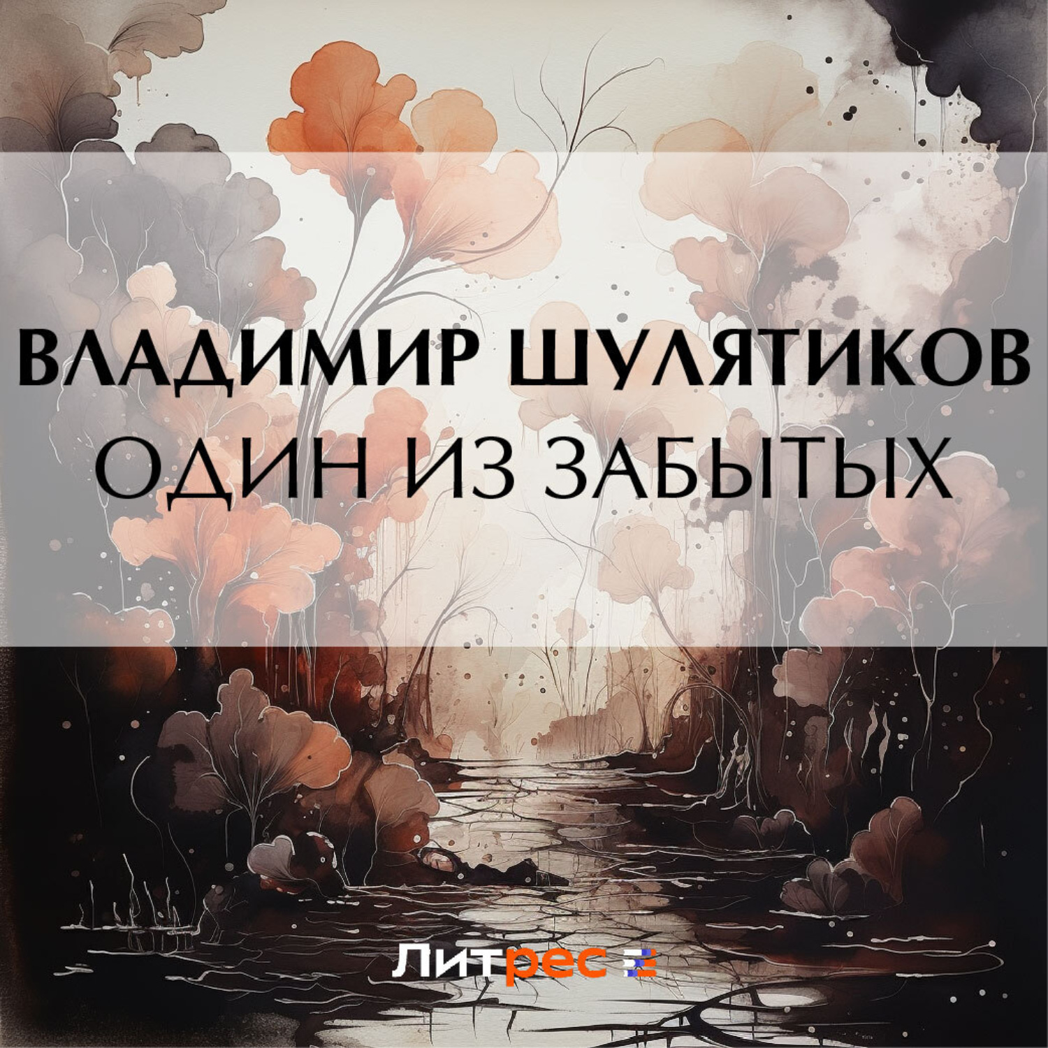 Обложка книги «Один из забытых»