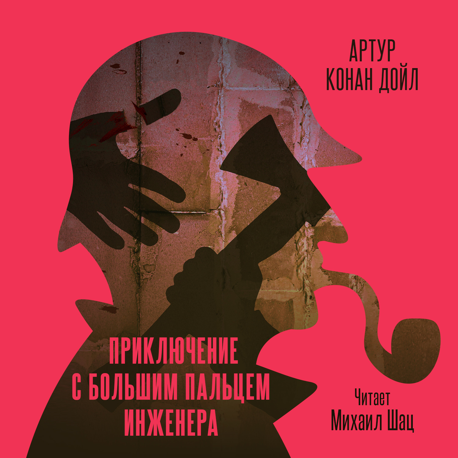 Обложка книги «Приключение с большим пальцем инженера»