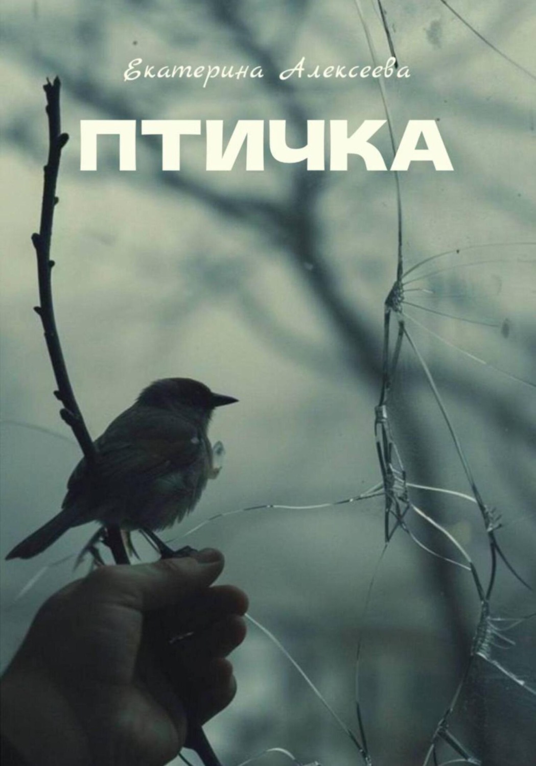 Обложка книги «Птичка»