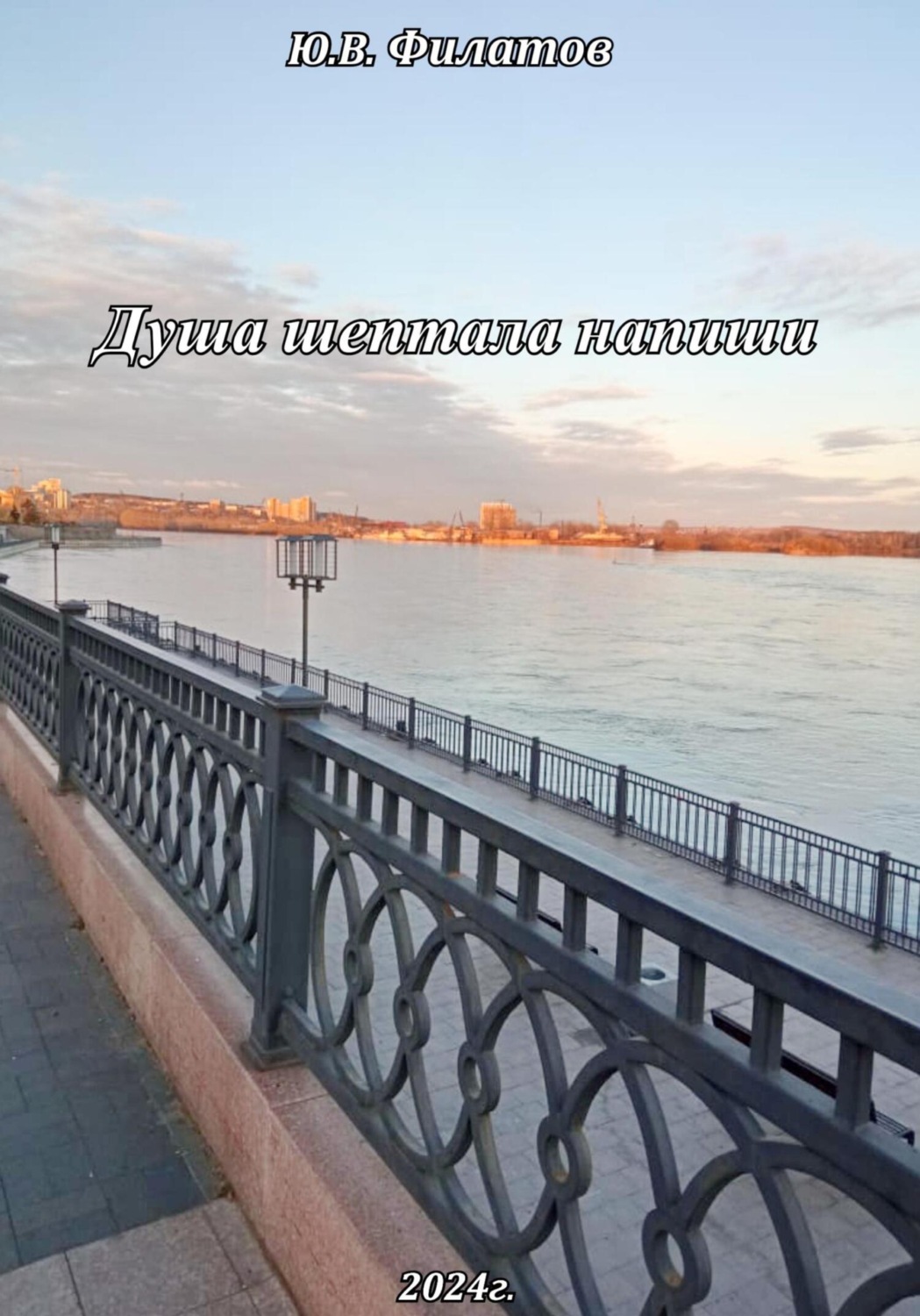 Обложка книги «Душа шептала напиши»