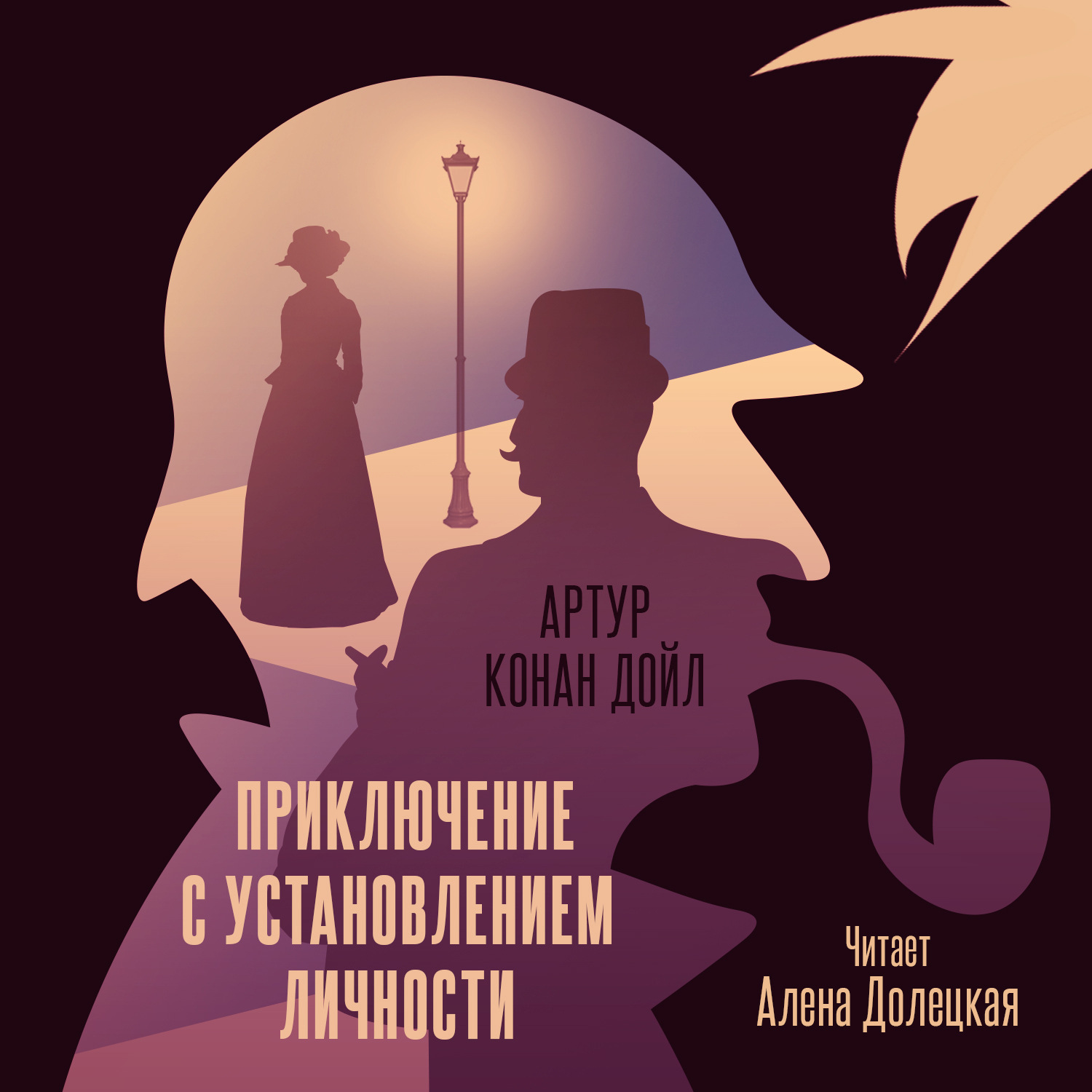 Обложка книги «Приключение с установлением личности»