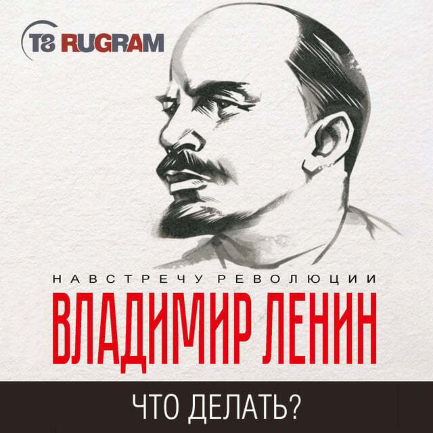 Обложка книги «Что делать? Наболевшие вопросы нашего движения»