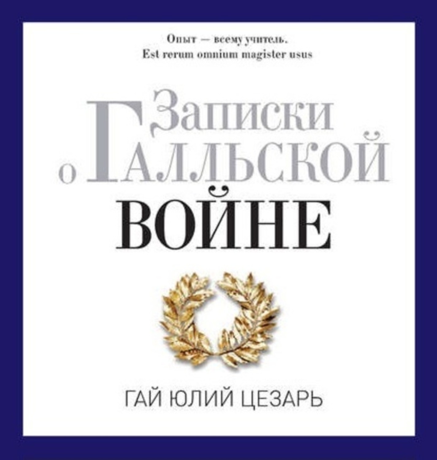 Обложка книги «Записки о Галльской войне»