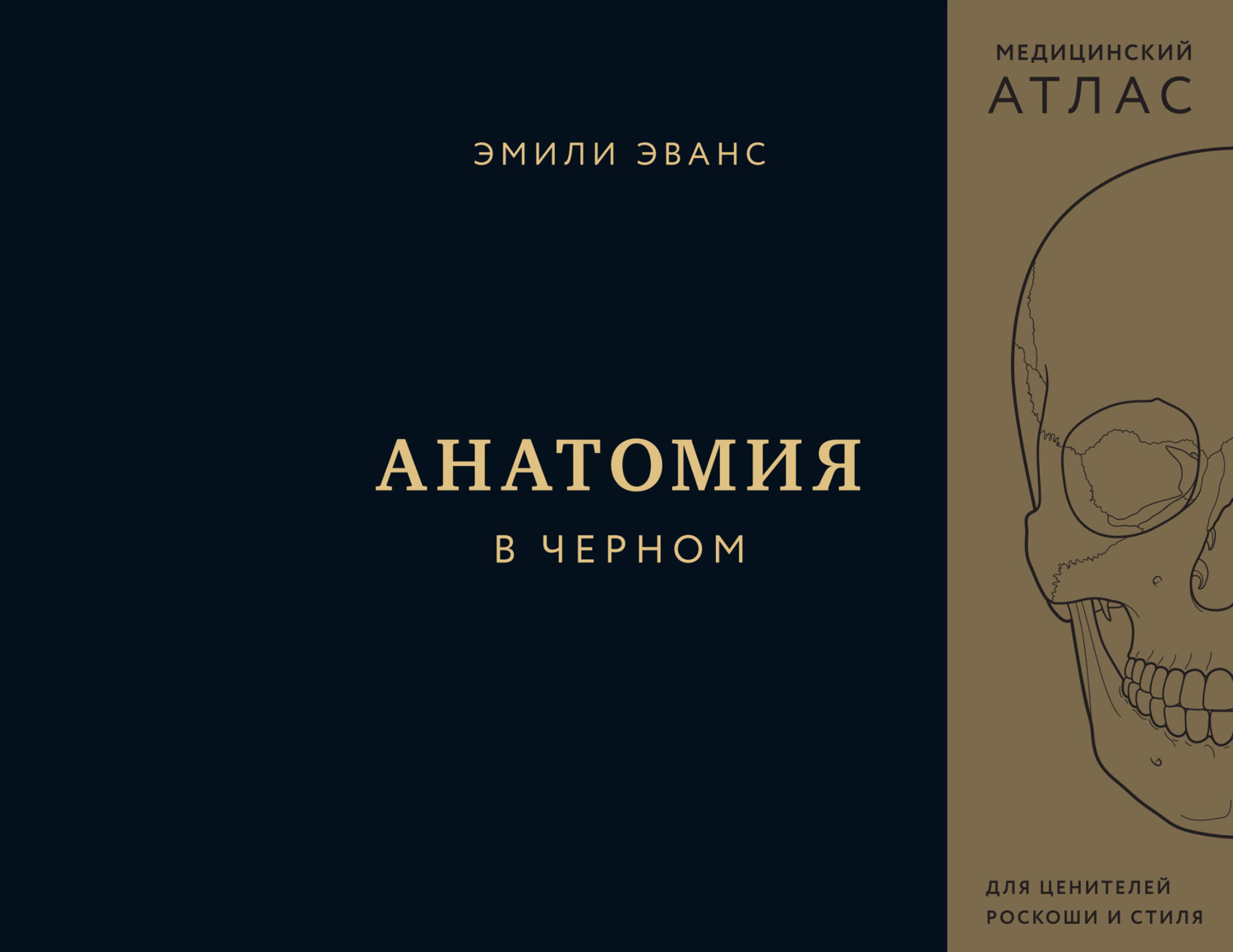 Обложка книги «Анатомия в черном»