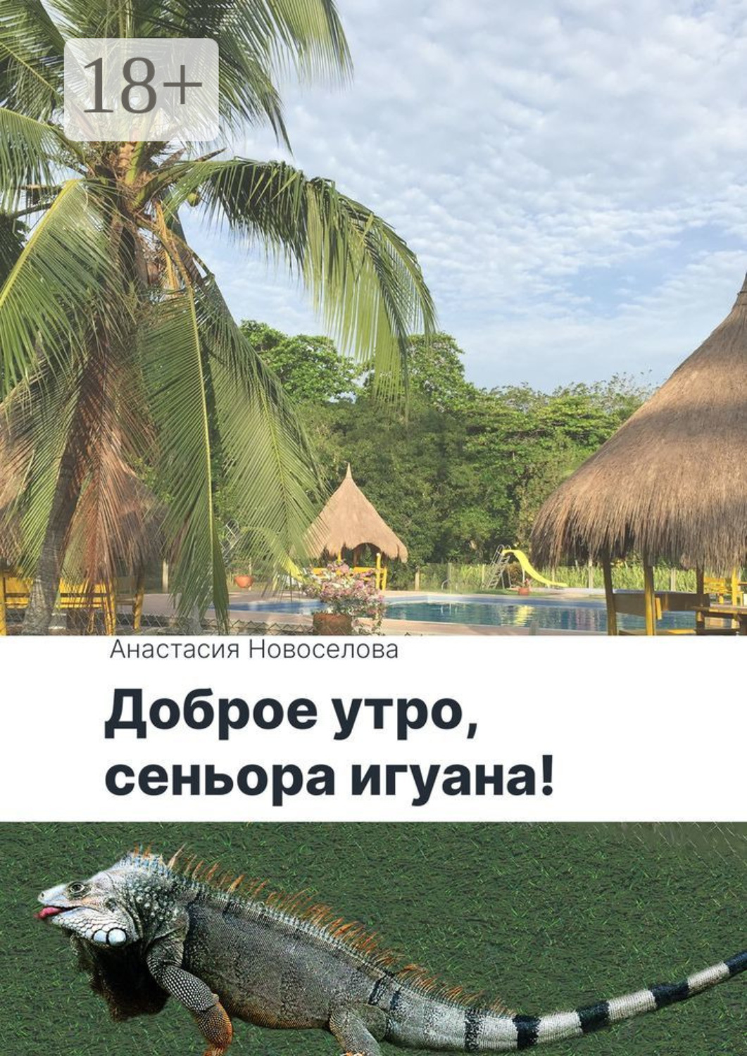 Обложка книги «Доброе утро, сеньора игуана!»