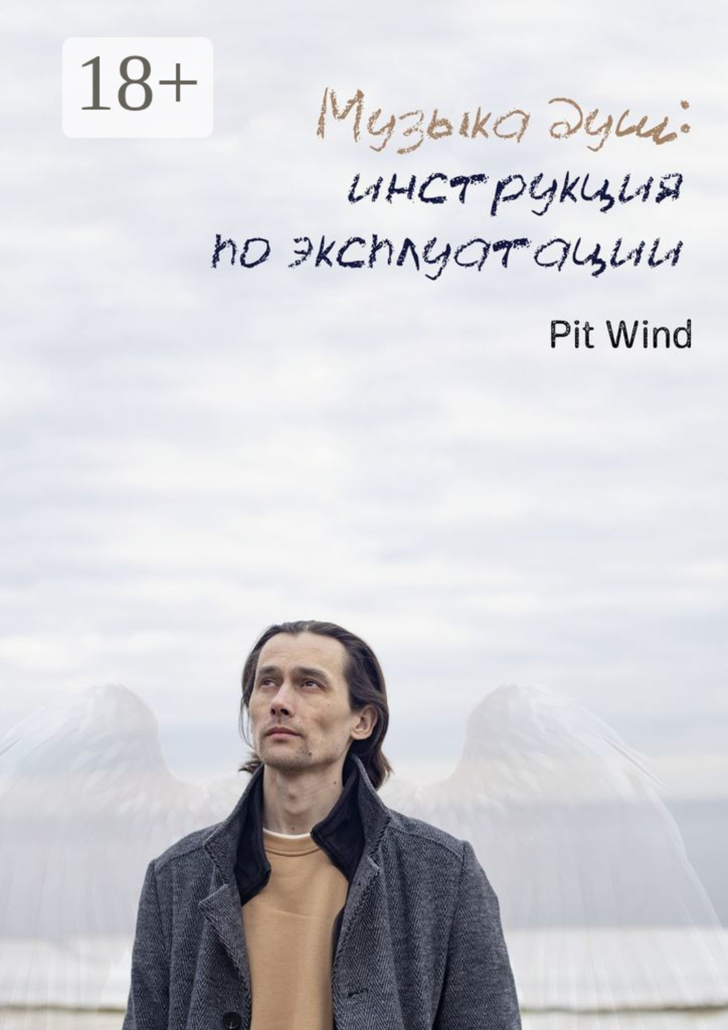 Обложка книги «Музыка душ: инструкция по эксплуатации»