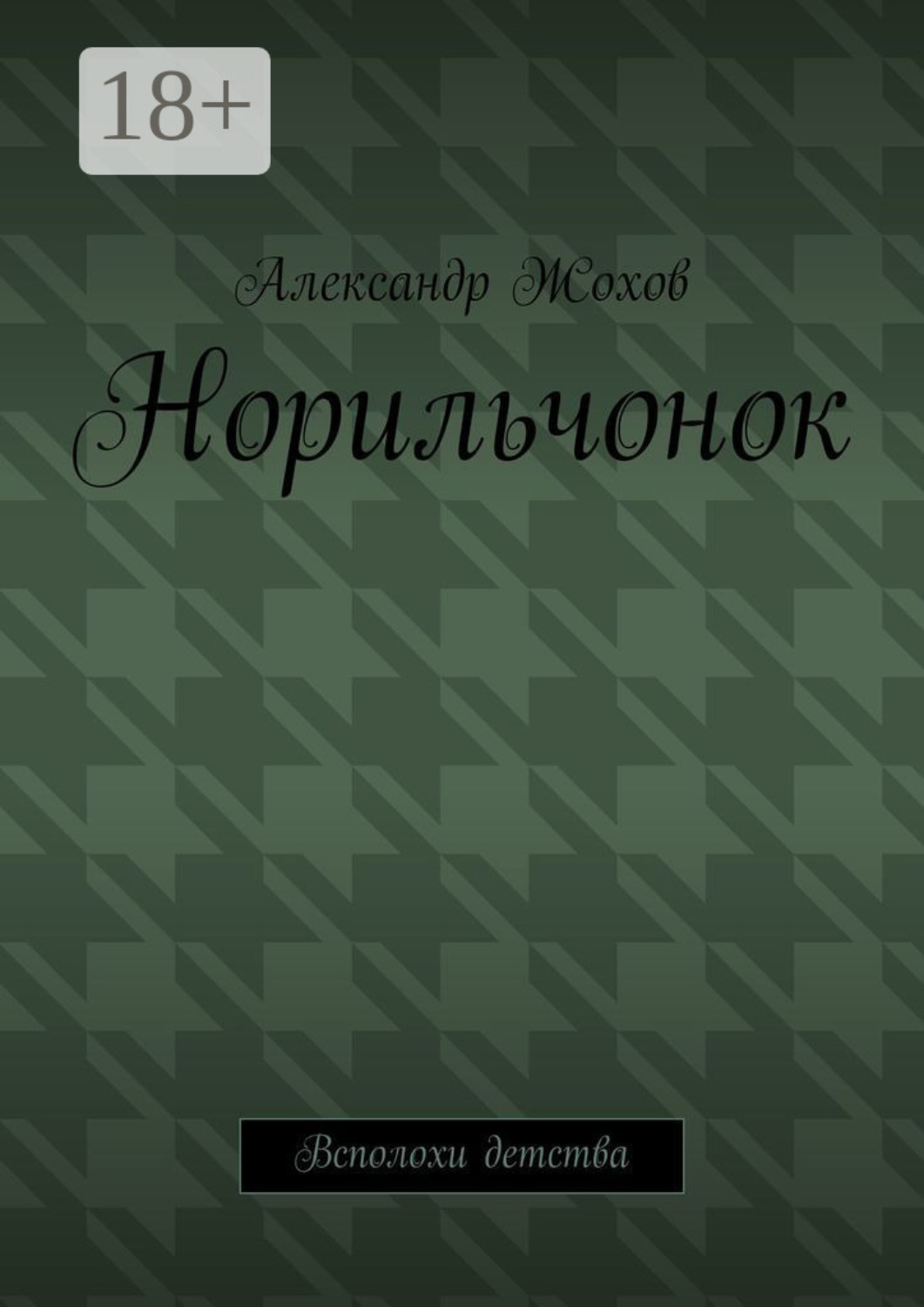 Обложка книги «Норильчонок. Всполохи детства»