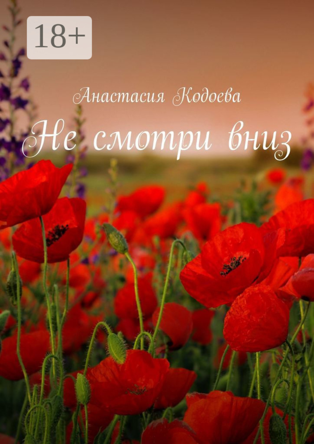 Обложка книги «Не смотри вниз»