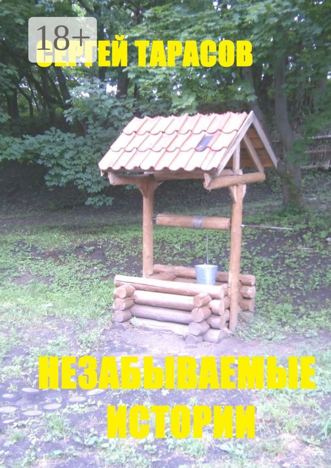 Обложка книги «Незабываемые истории. Рассказы»